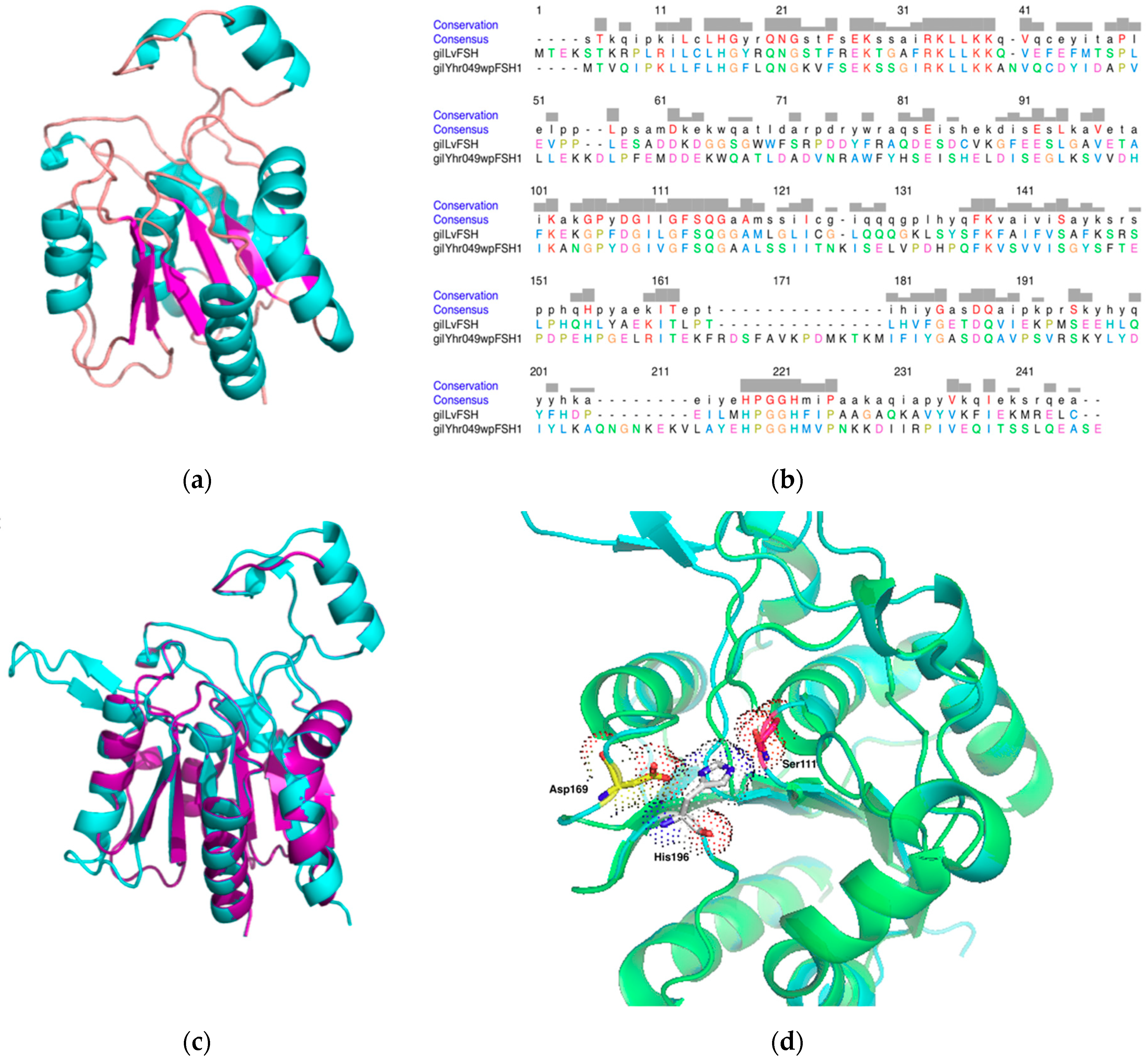 Biomolecules Free Full Text Biochemical Characterization Of A Novel A B Hydrolase Fsh From The White Shrimp Litopenaeus Vannamei Html