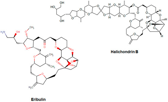 ミスター　アロエまとめ Y-Box Binding Protein 1: Unraveling the Multifaceted Role in