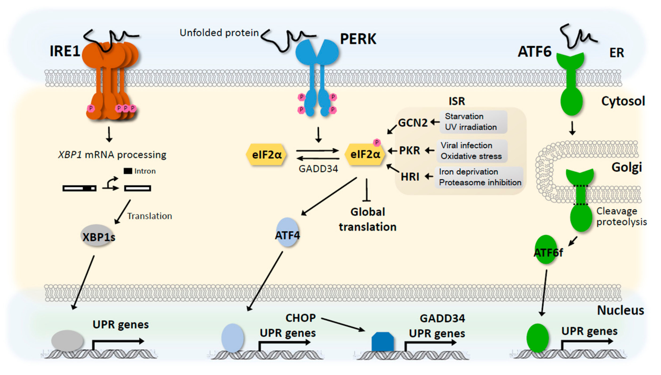 Biomolecules 09 00680 g002 Biomolecules 09 00680 g002
