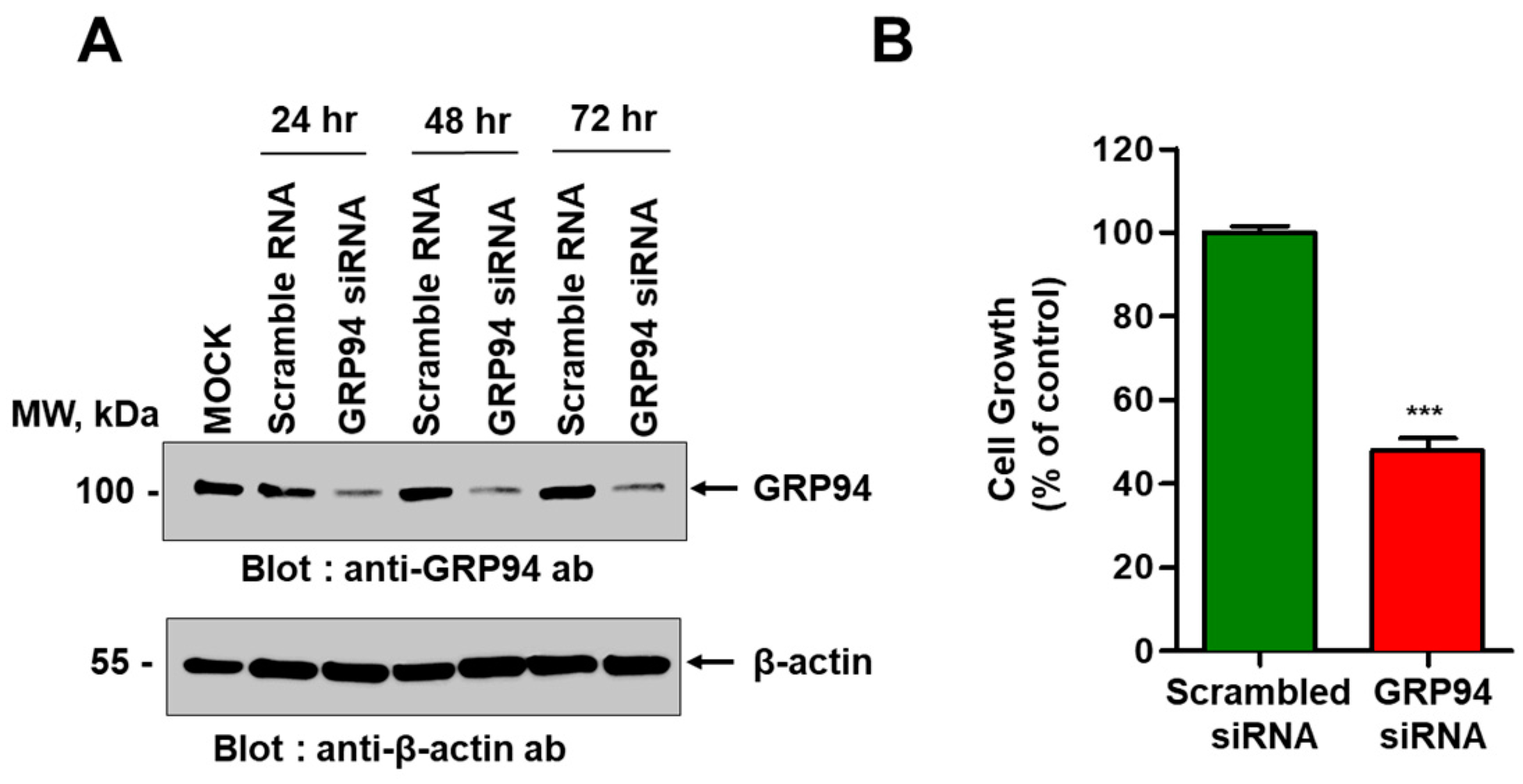 Biomolecules 09 00681 g003