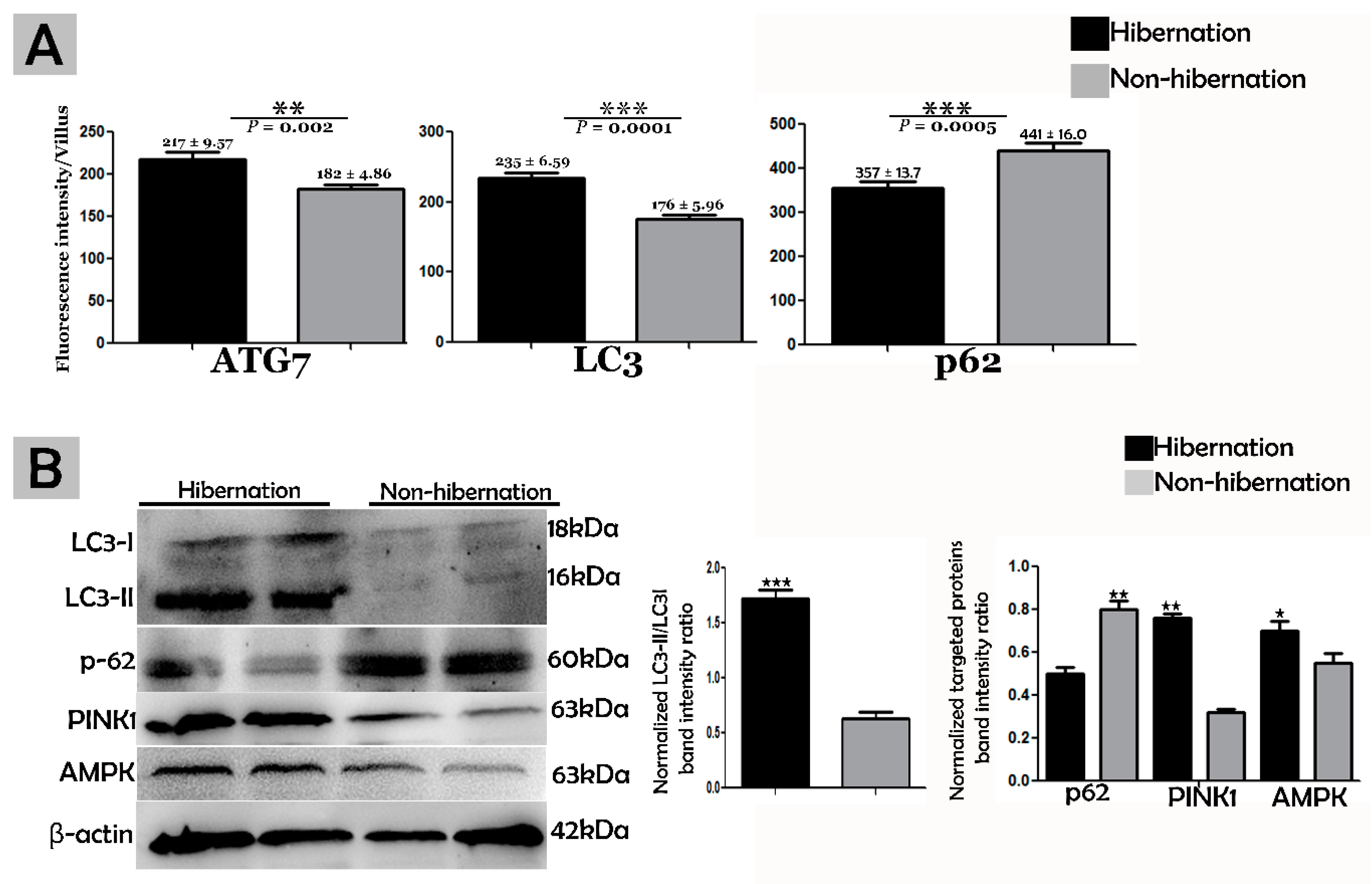 Biomolecules 09 00682 g004 Biomolecules 09 00682 g004
