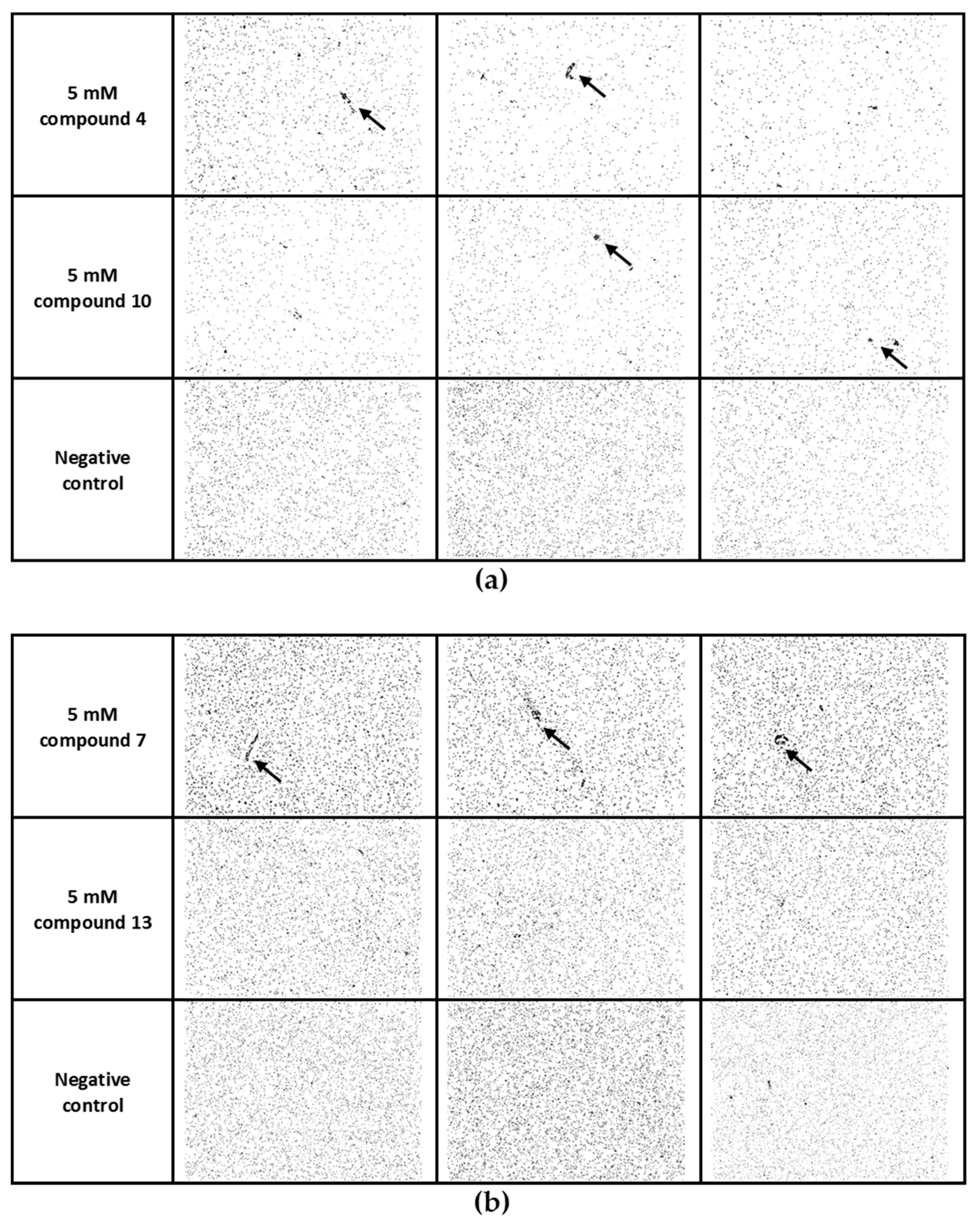 Biomolecules 09 00686 g005
