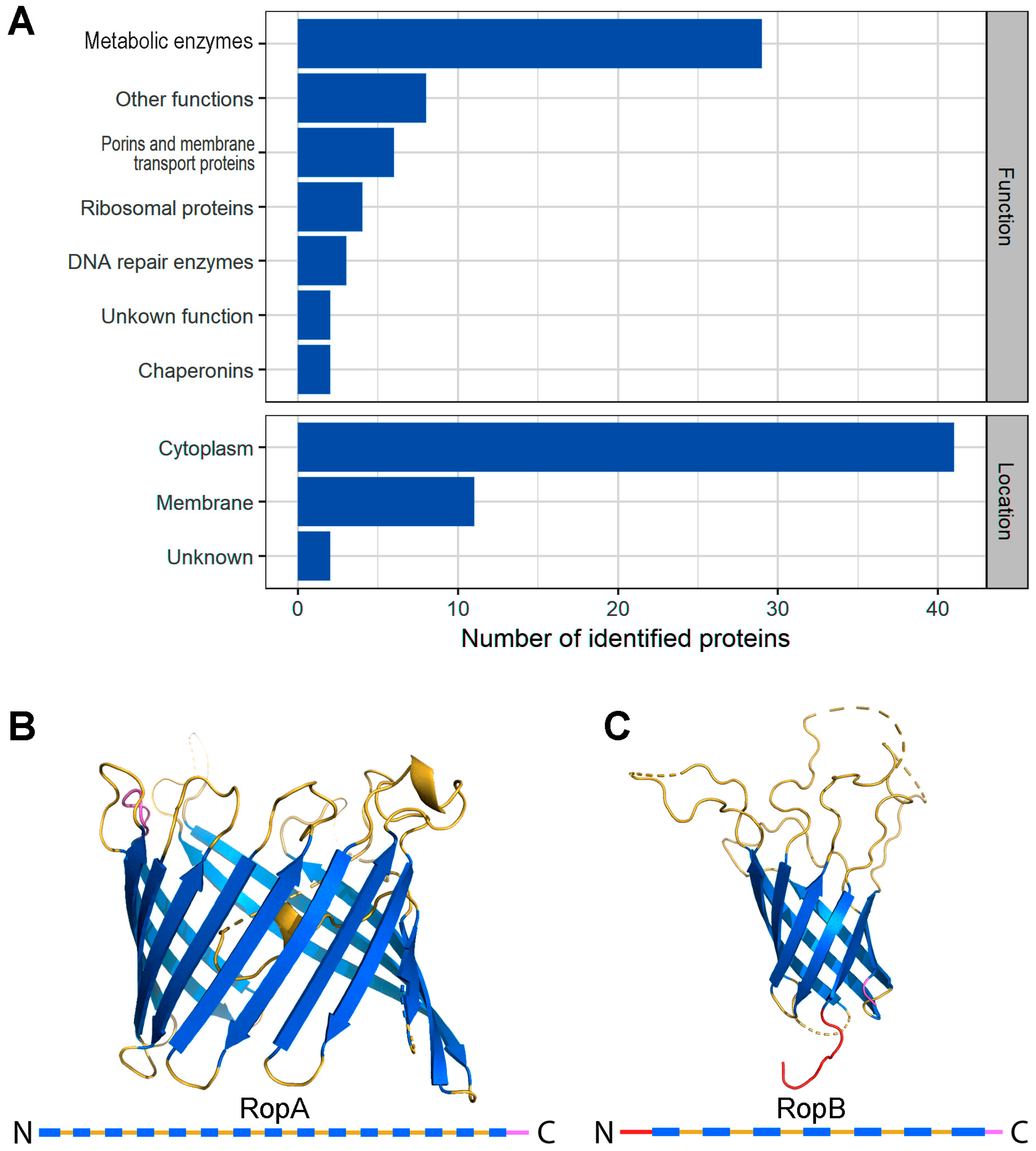 Biomolecules 09 00694 g001