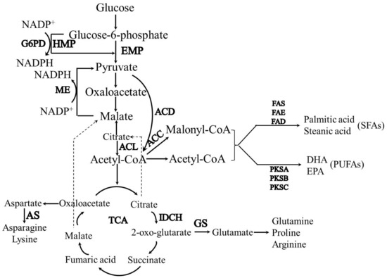 Transcriptome Mechanism of Utilizing Corn Steep Liquor as Transcriptome Mechanism of Utilizing Corn Steep Liquor as