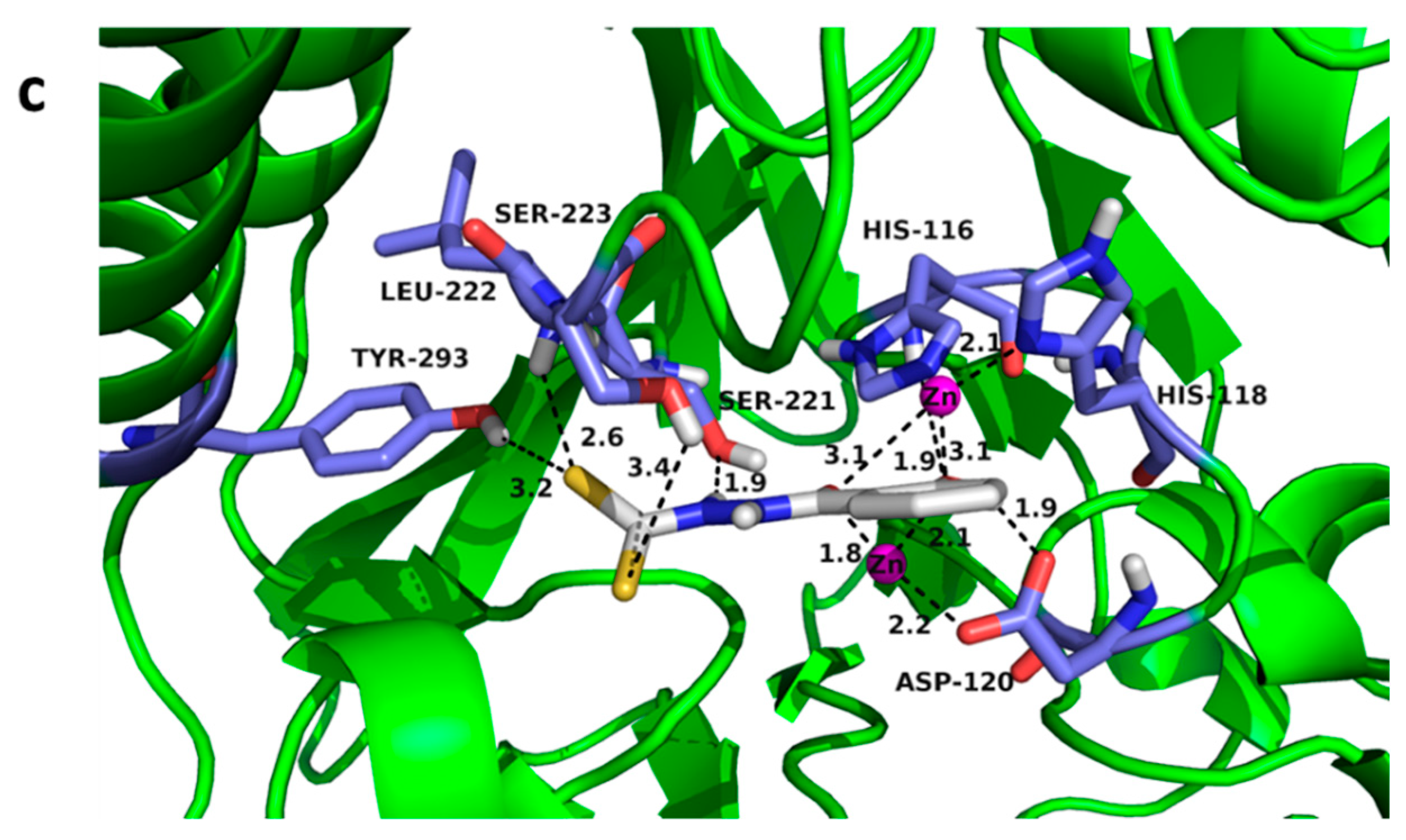 Biomolecules 09 00699 g005b Biomolecules 09 00699 g005b