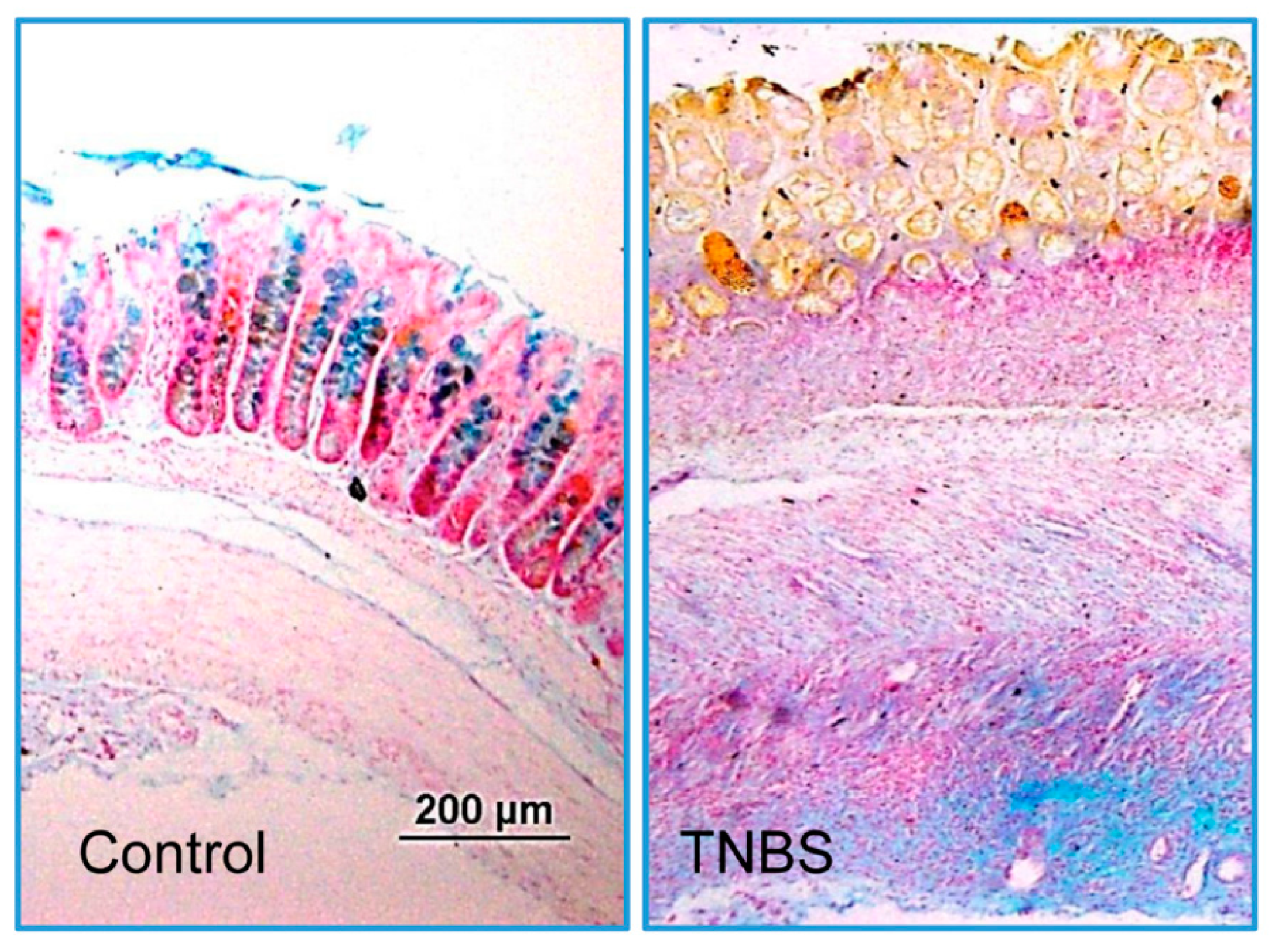 Biomolecules 09 00700 g004 Biomolecules 09 00700 g004