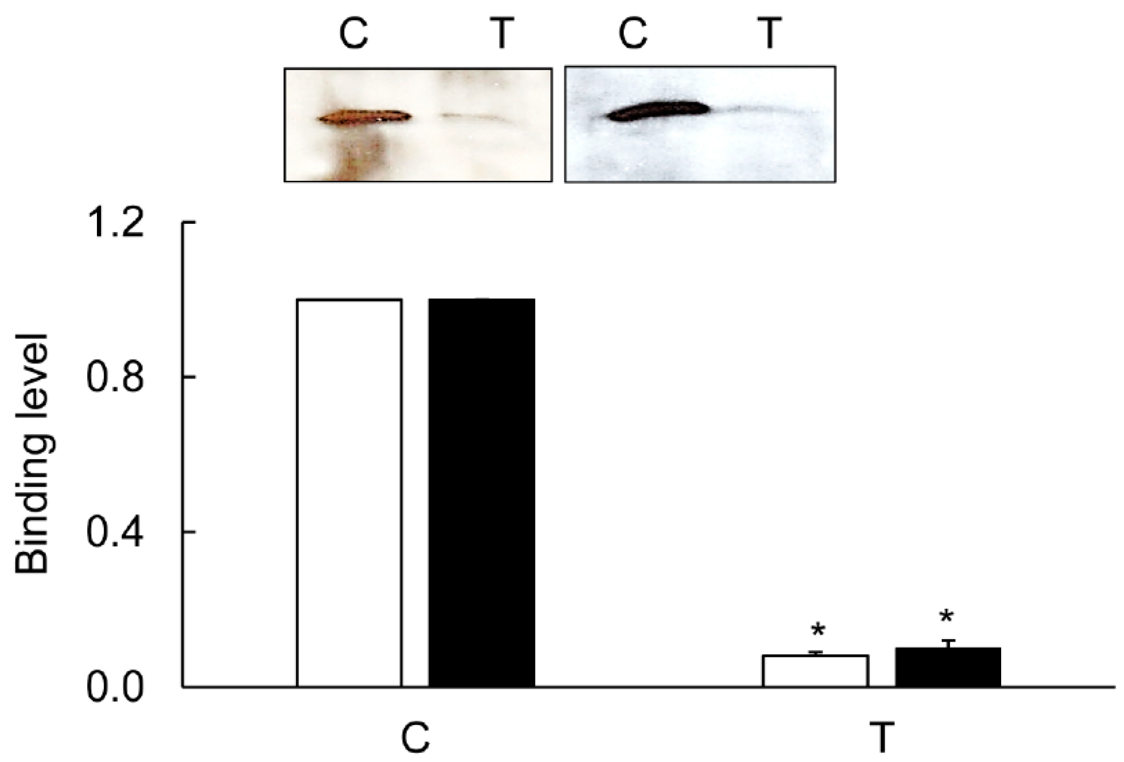 Biomolecules 09 00700 g014 Biomolecules 09 00700 g014