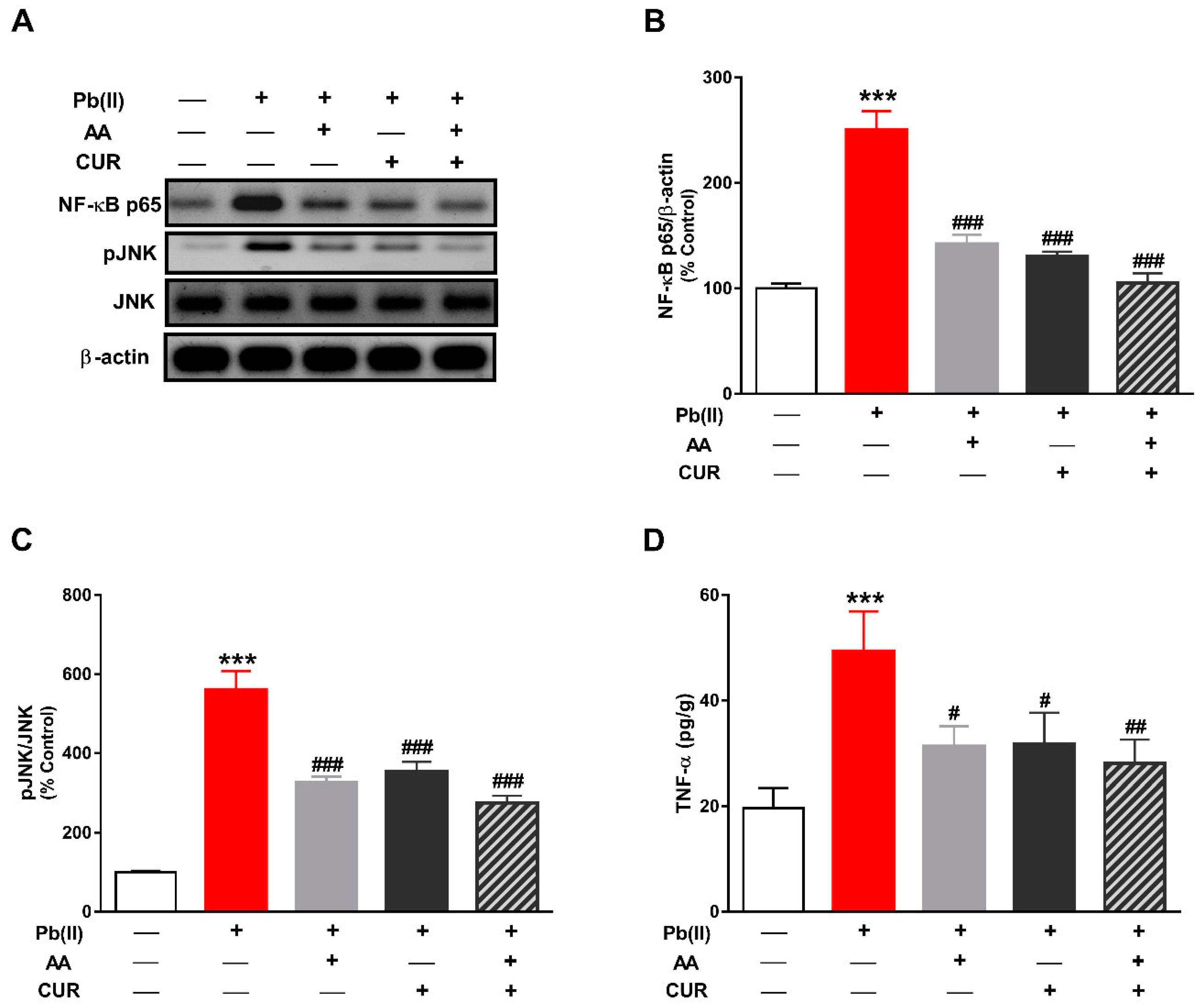 Biomolecules 09 00703 g005
