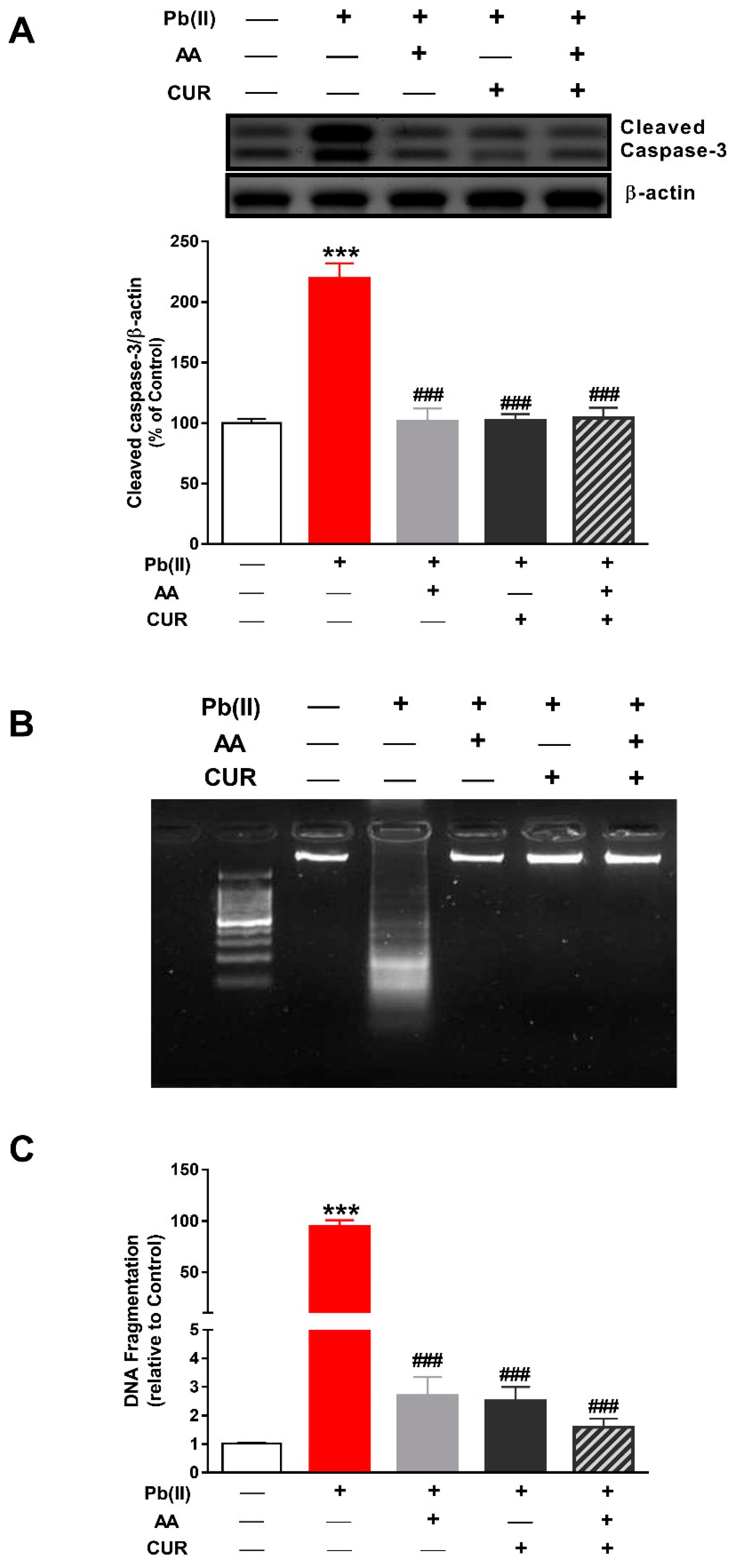 Biomolecules 09 00703 g006