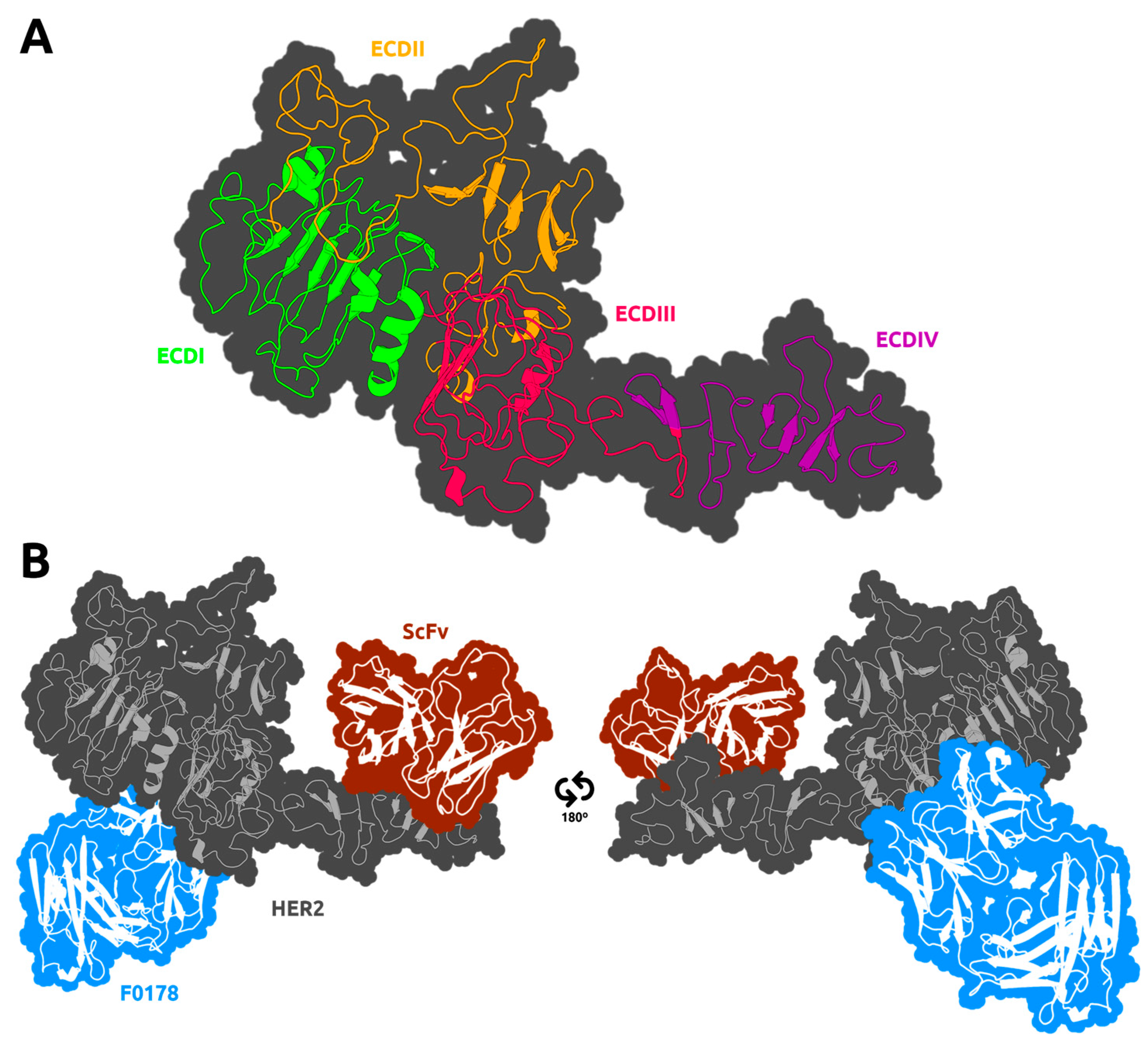 Biomolecules 09 00706 g001 Biomolecules 09 00706 g001