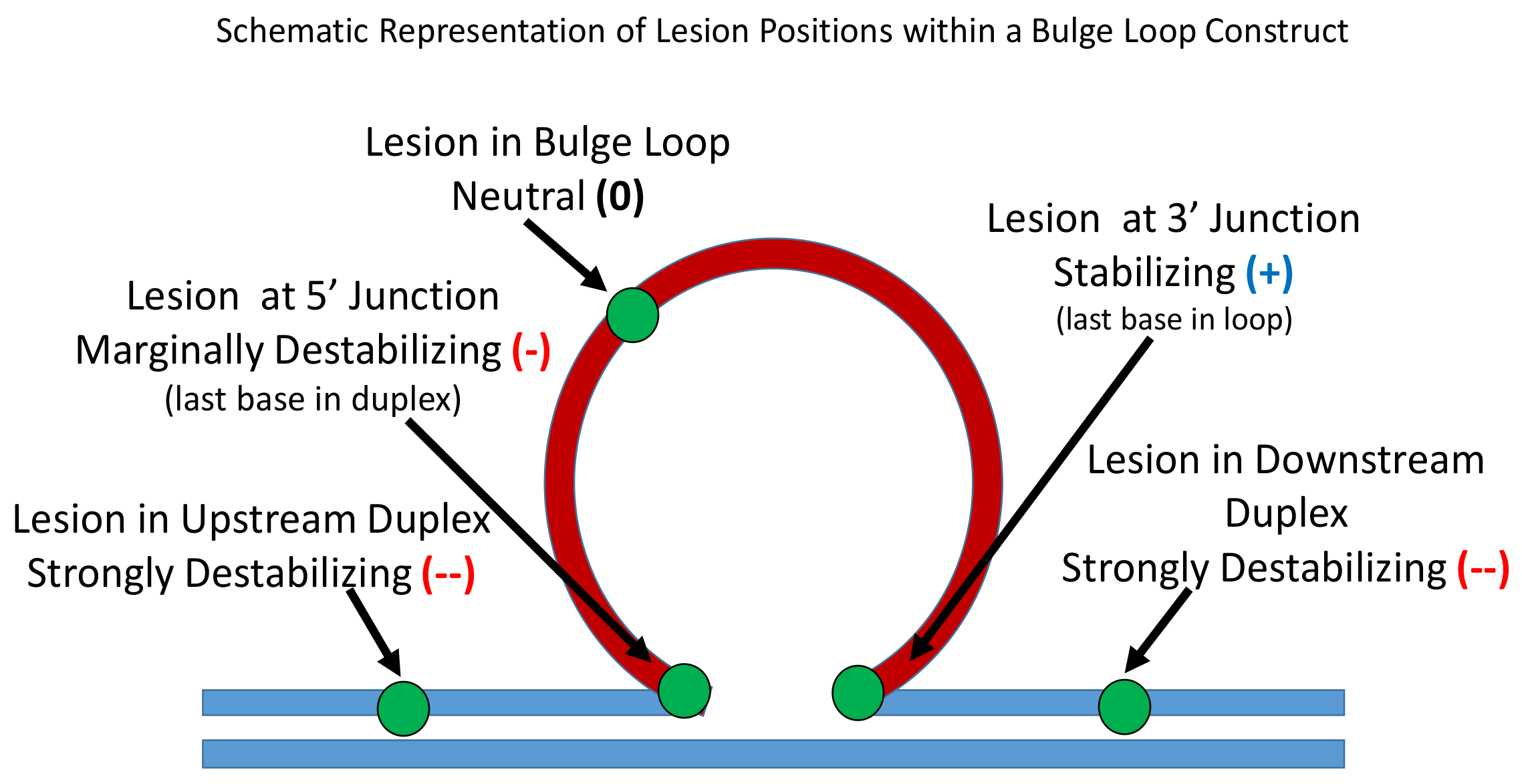 Biomolecules 09 00709 sch002 Biomolecules 09 00709 sch002
