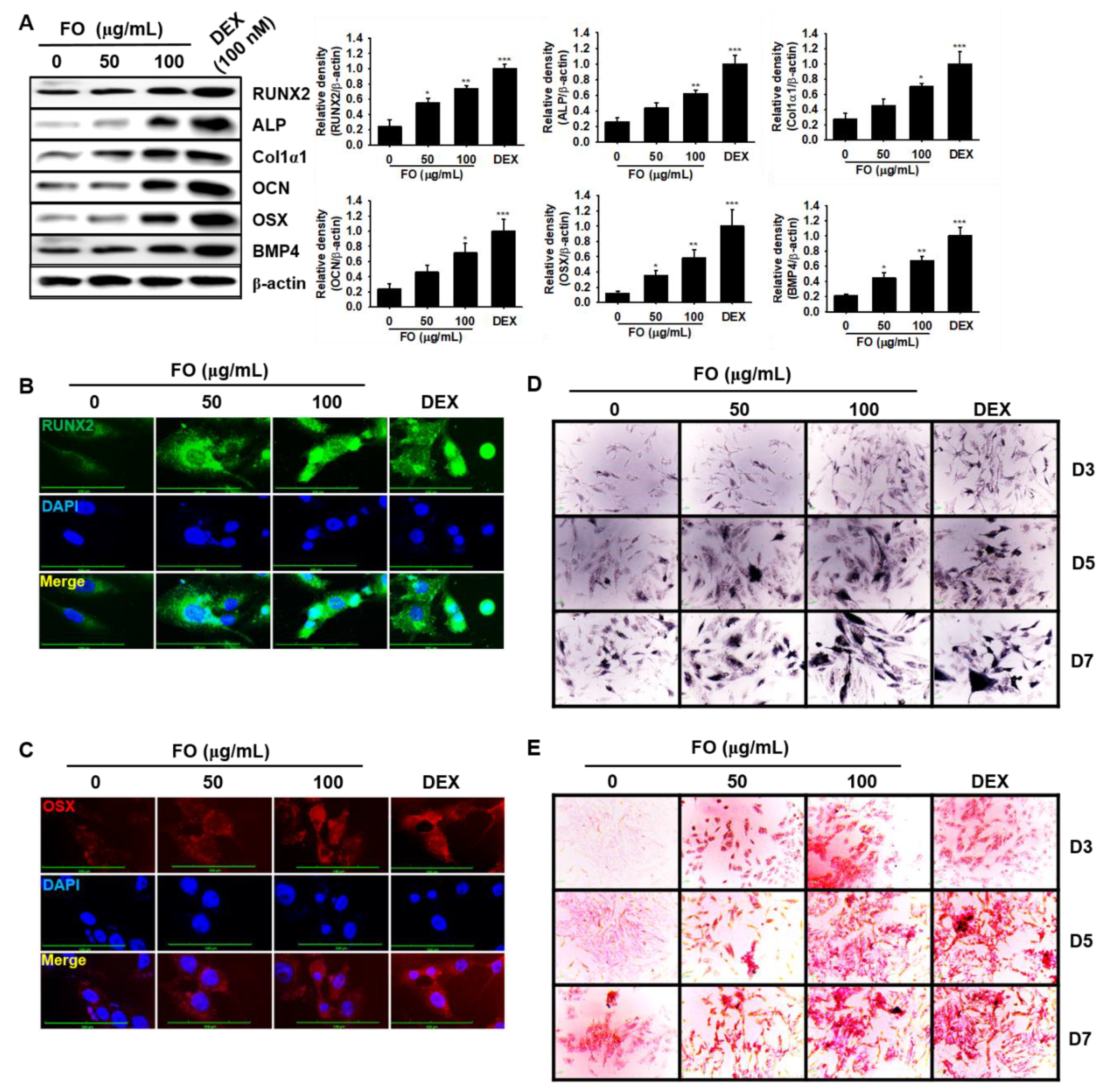 Biomolecules 09 00711 g004