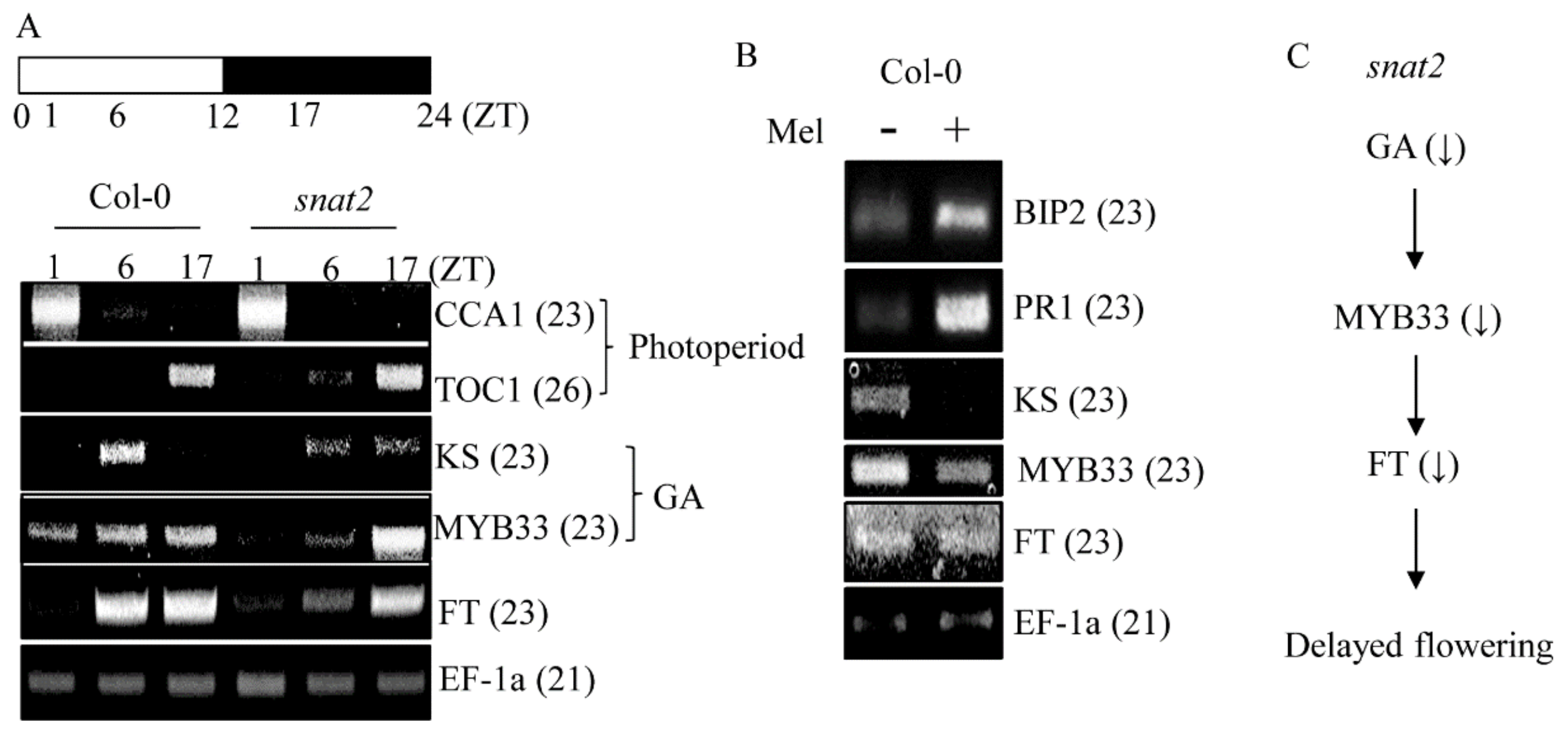 Biomolecules 09 00712 g010