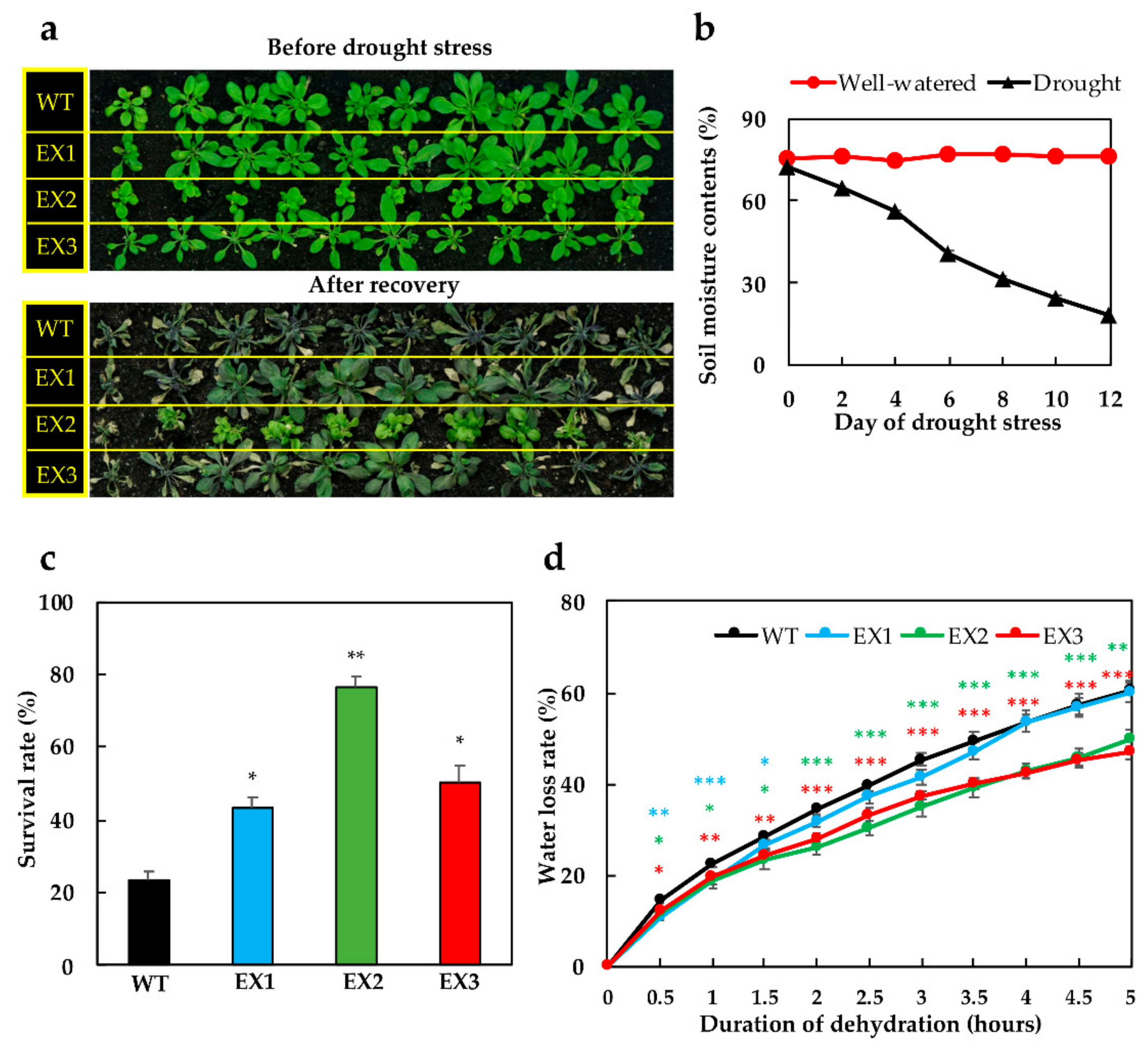 Biomolecules 09 00714 g002 Biomolecules 09 00714 g002