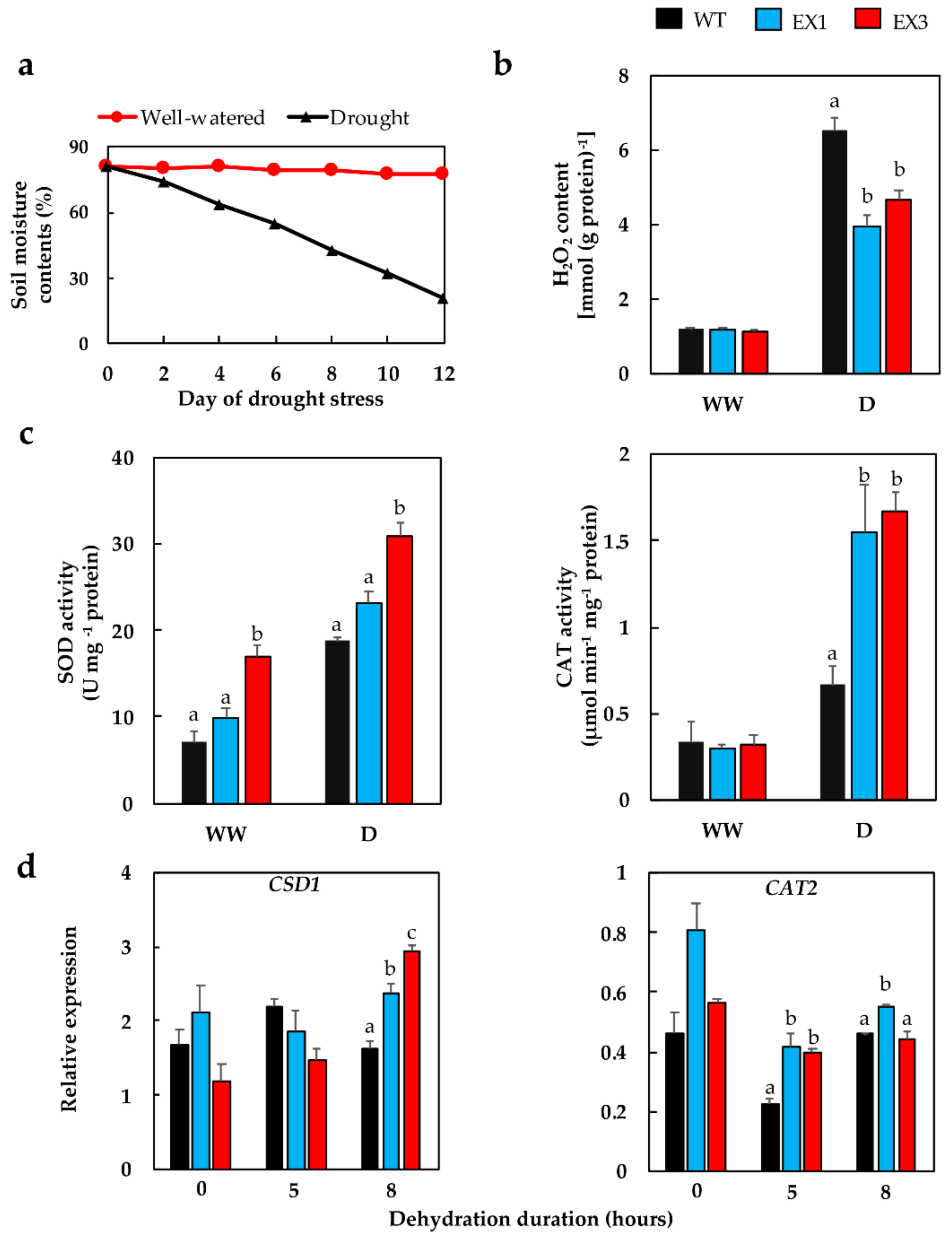 Biomolecules 09 00714 g004 Biomolecules 09 00714 g004
