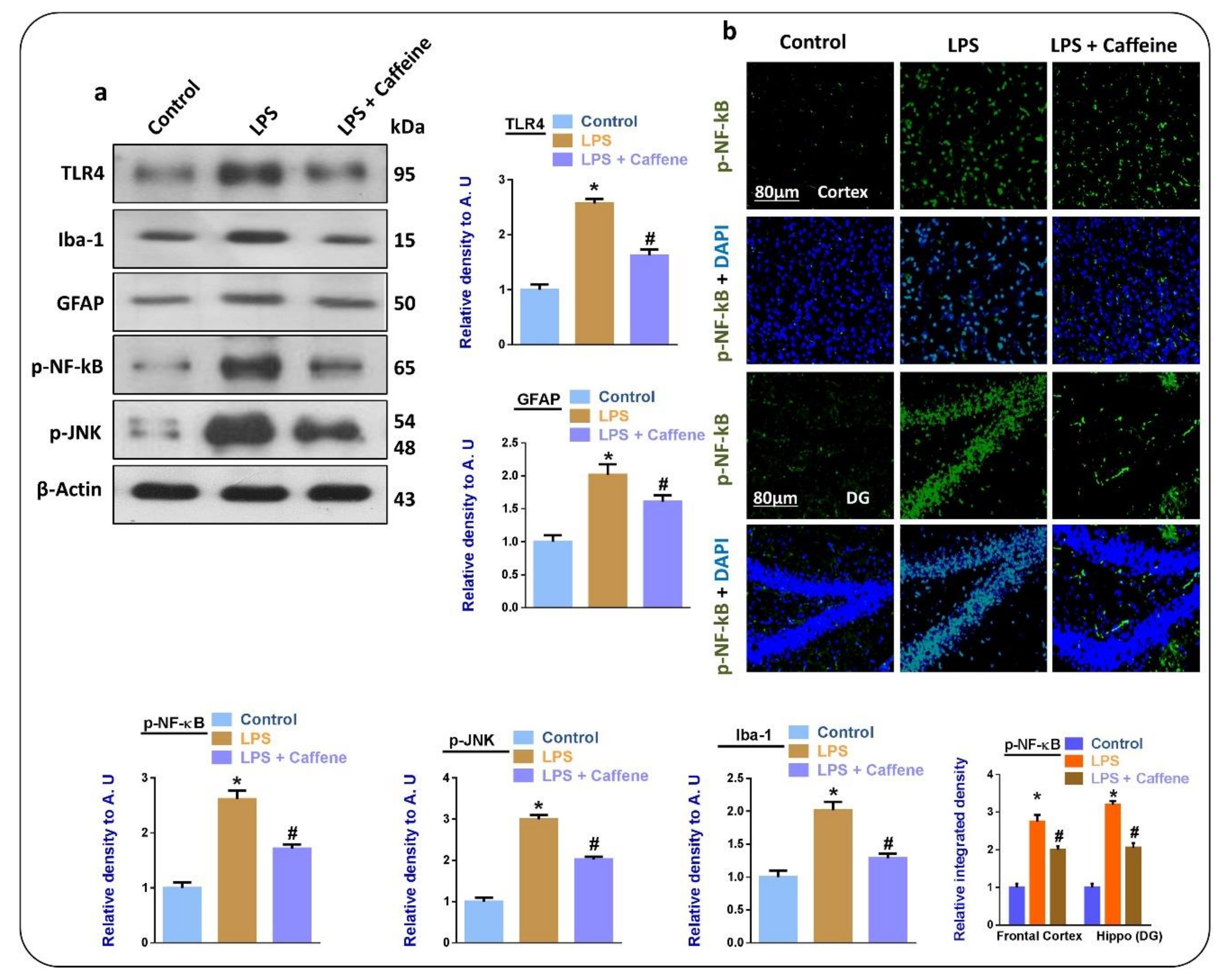 Biomolecules 09 00719 g002