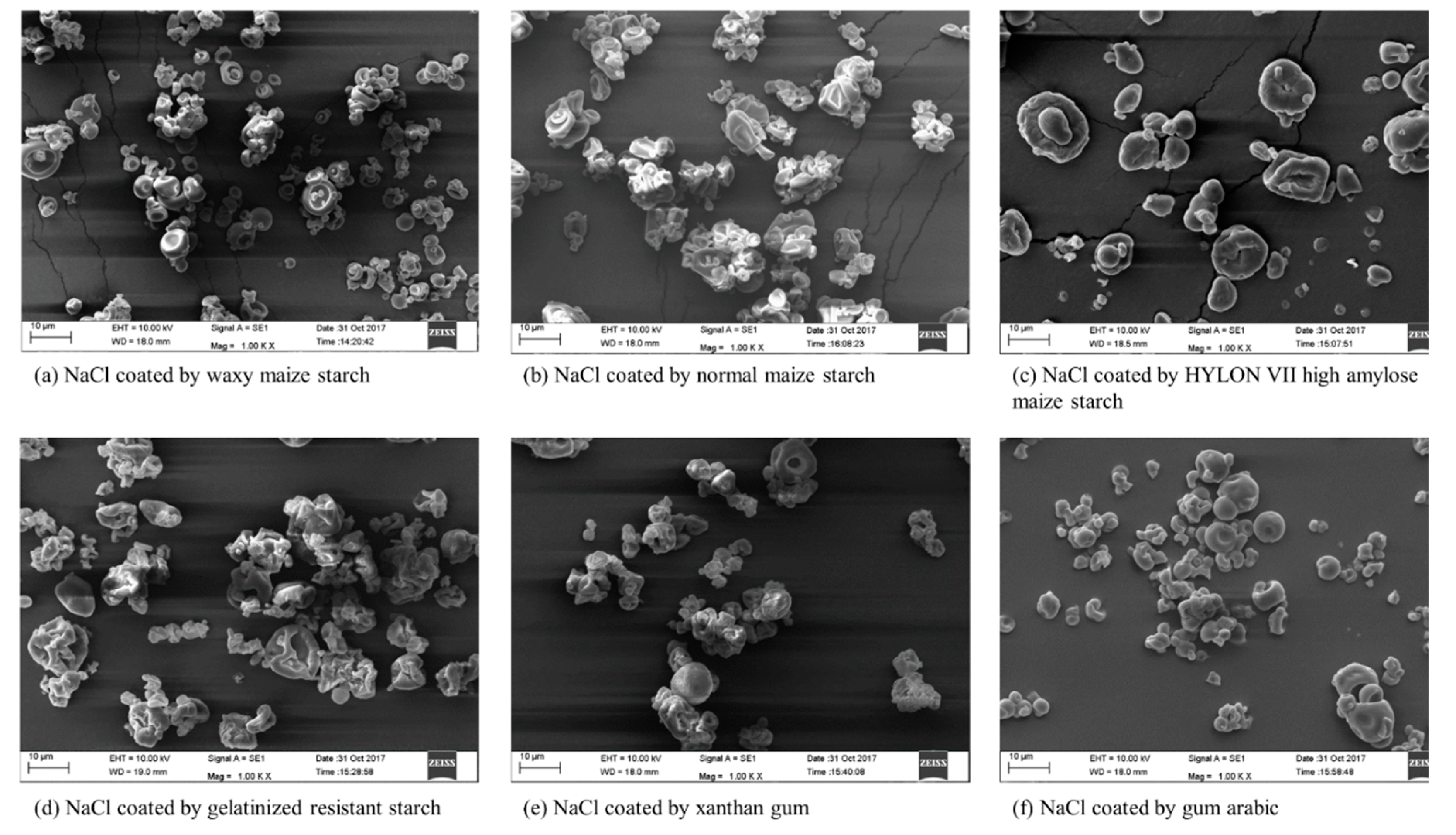 Biomolecules 09 00721 g004