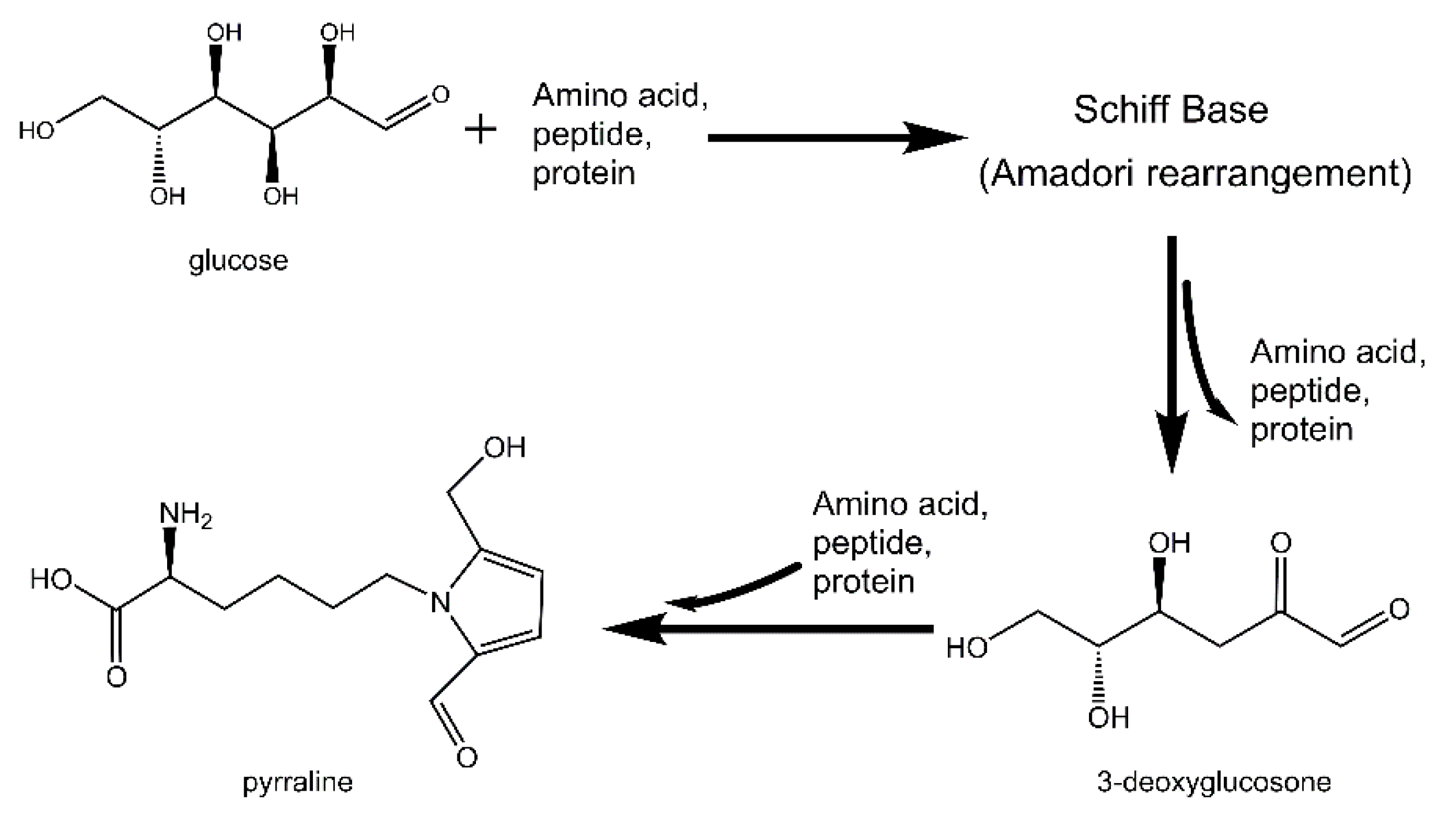 Biomolecules 09 00721 sch001