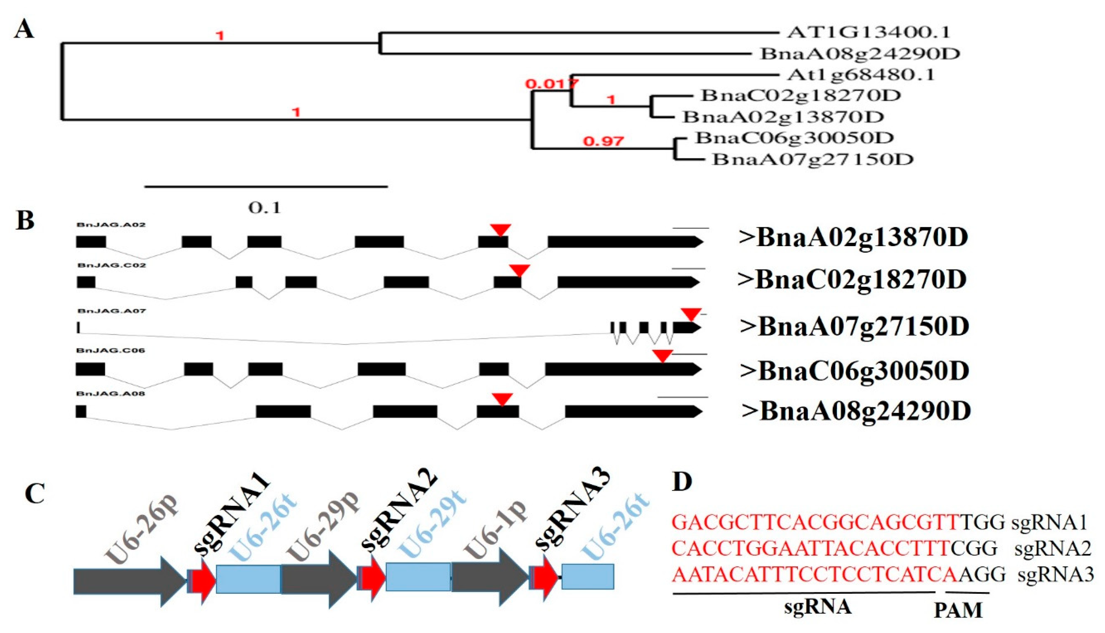 Biomolecules 09 00725 g001 Biomolecules 09 00725 g001