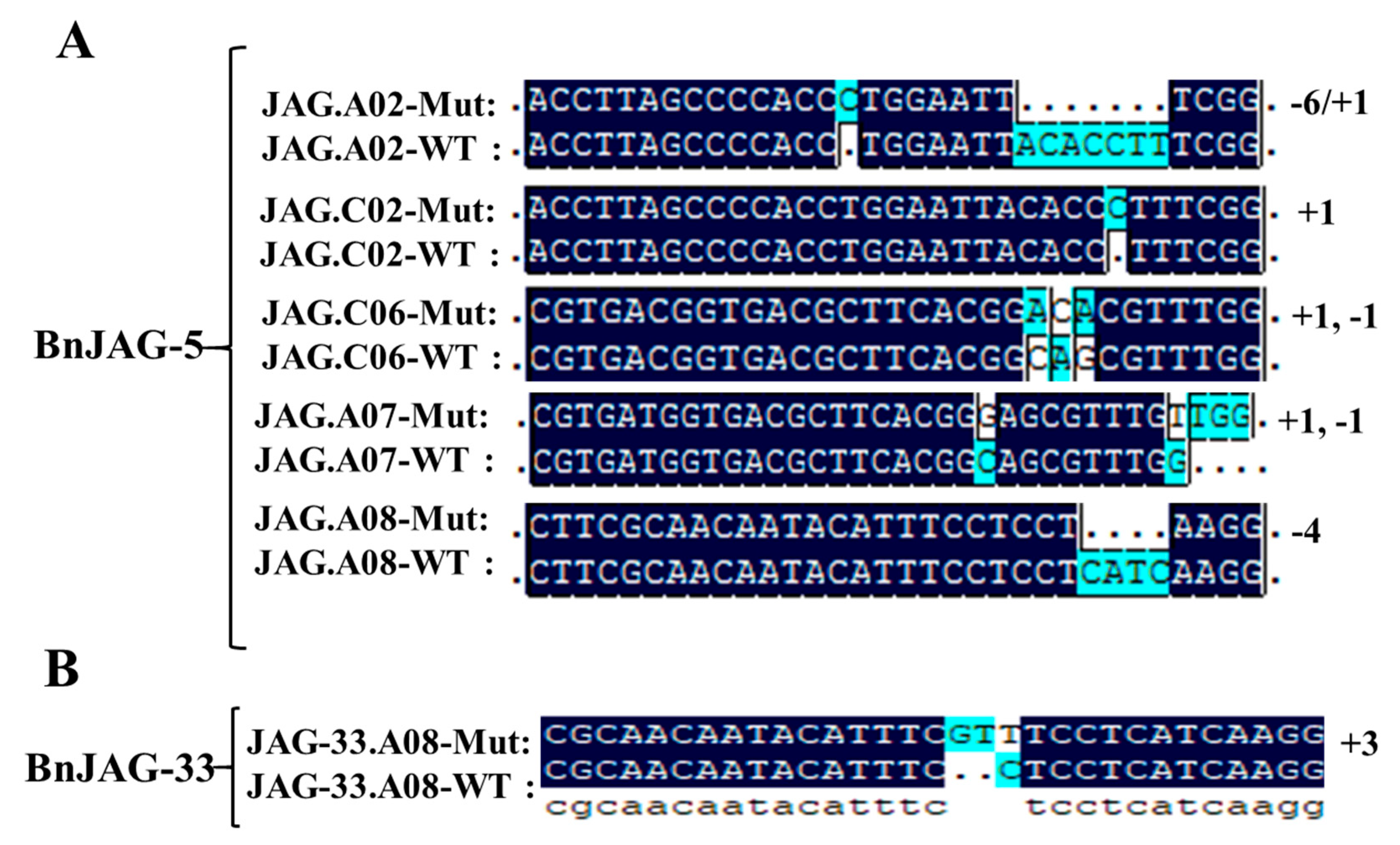 Biomolecules 09 00725 g002 Biomolecules 09 00725 g002