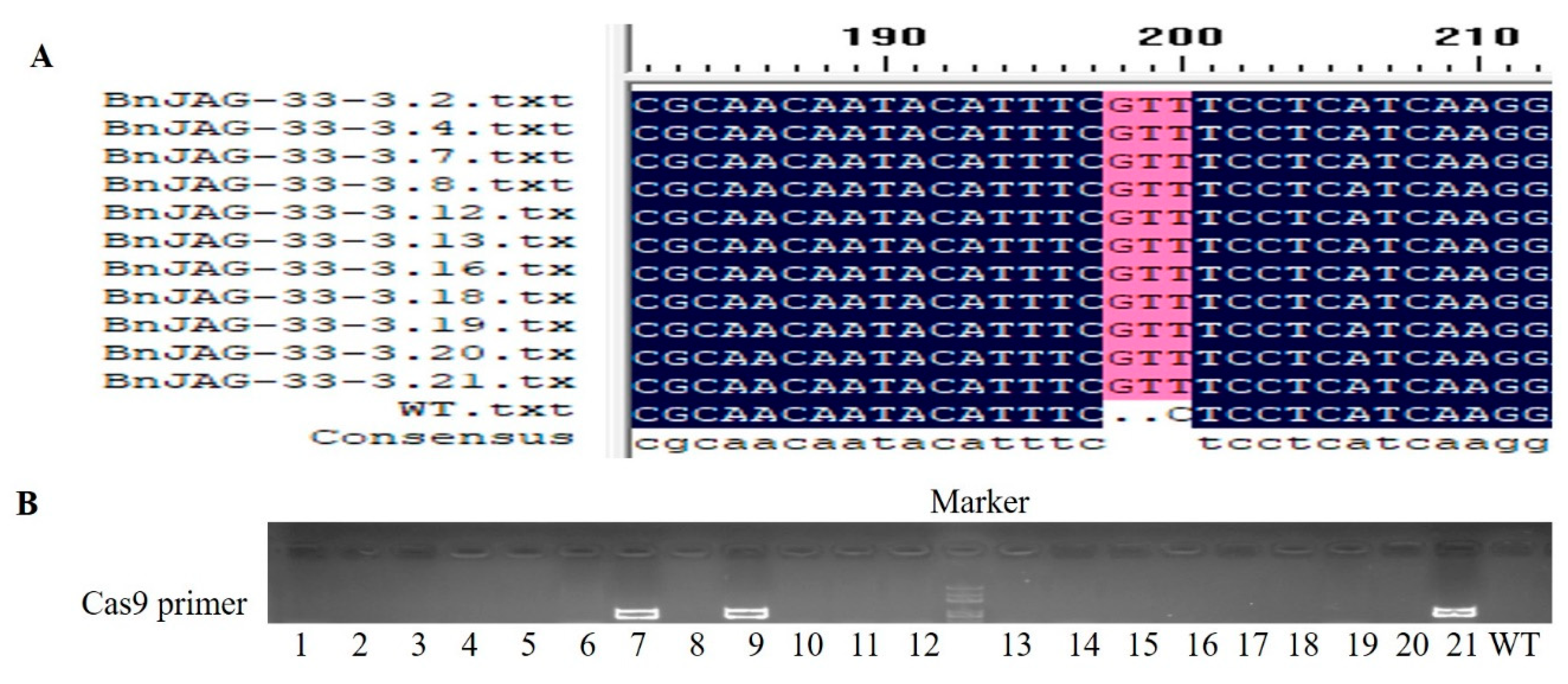 Biomolecules 09 00725 g006 Biomolecules 09 00725 g006