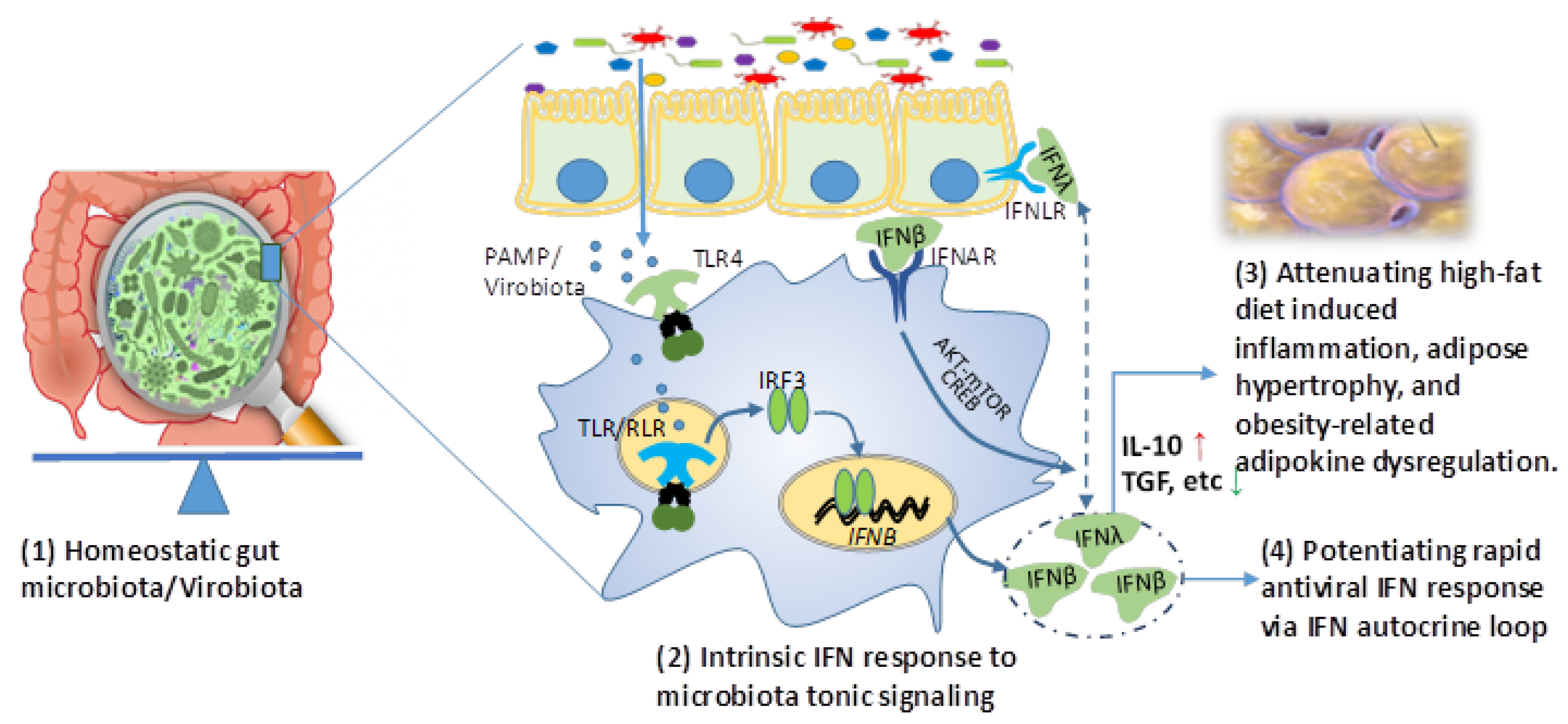 Biomolecules 09 00726 g001