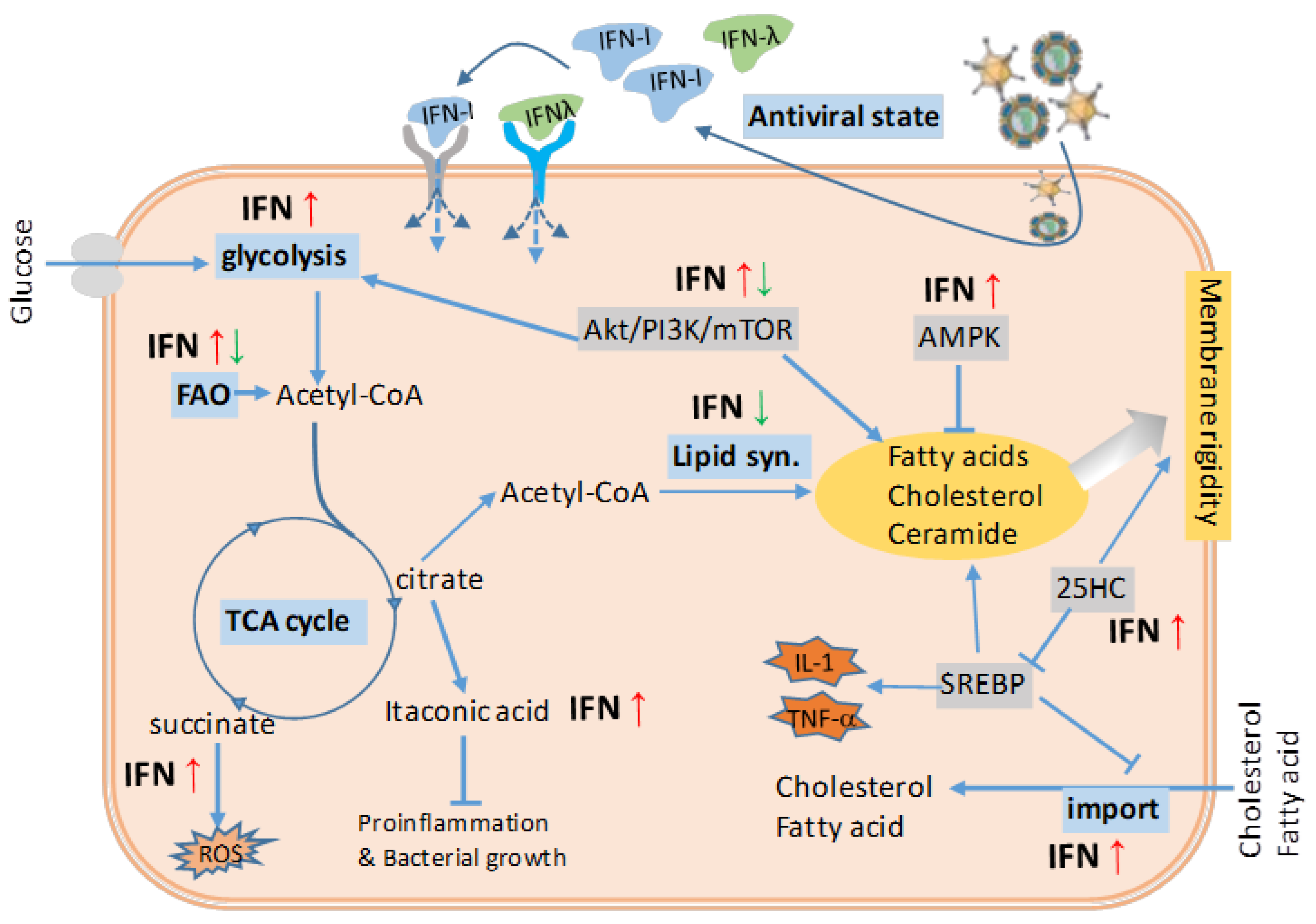 Biomolecules 09 00726 g002