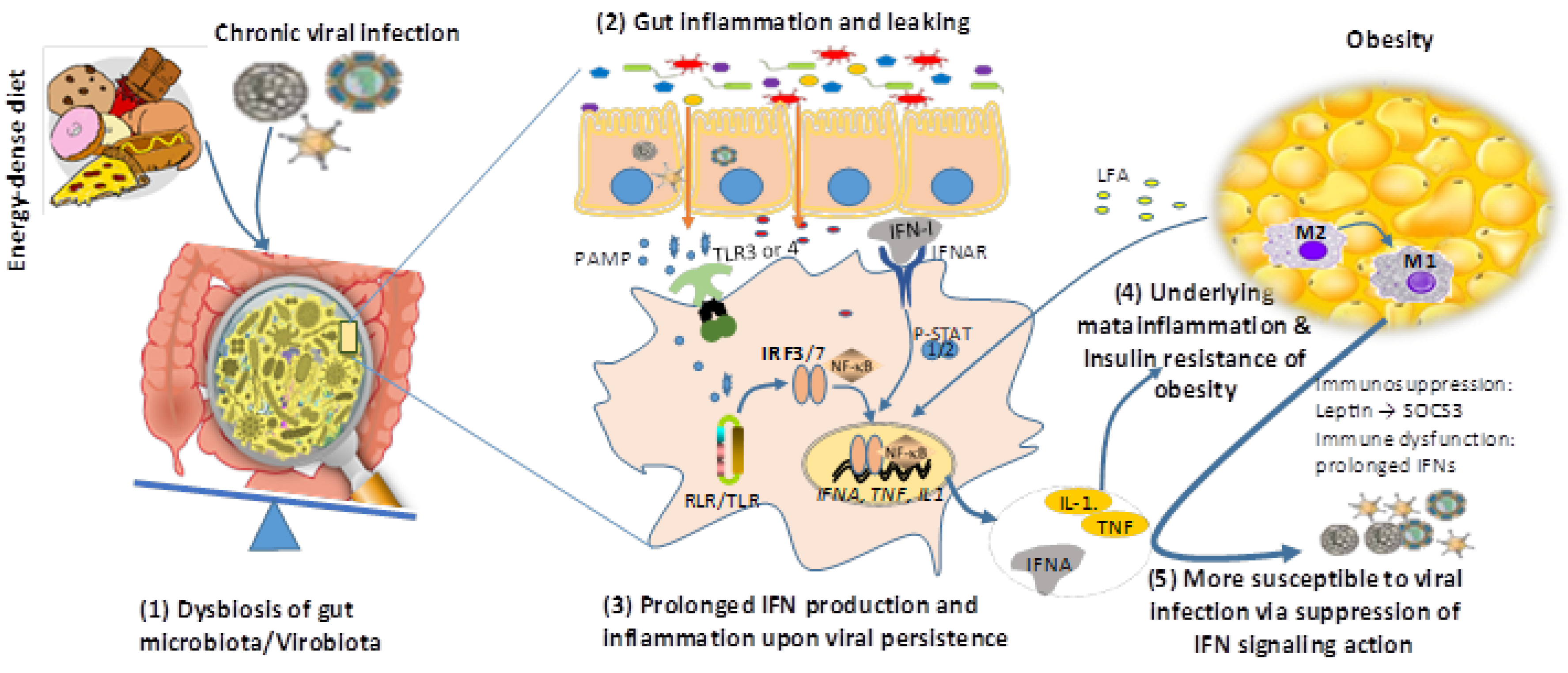 Biomolecules 09 00726 g003