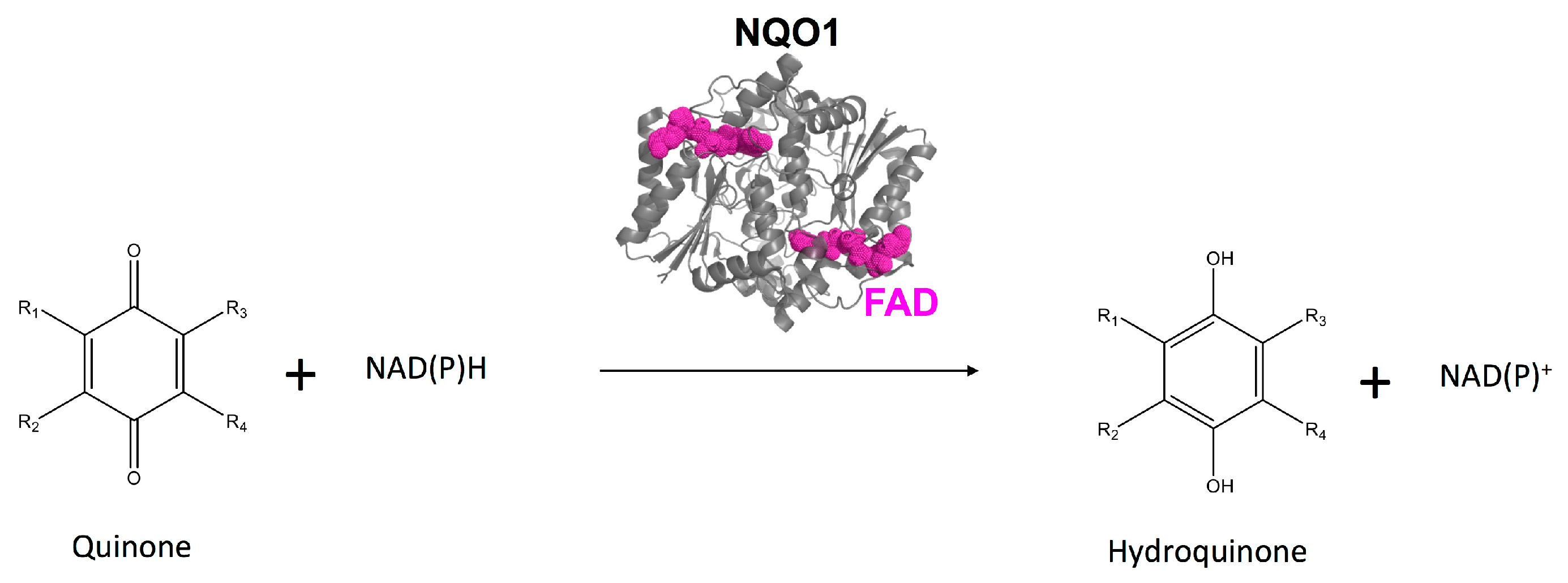Biomolecules 09 00728 g001