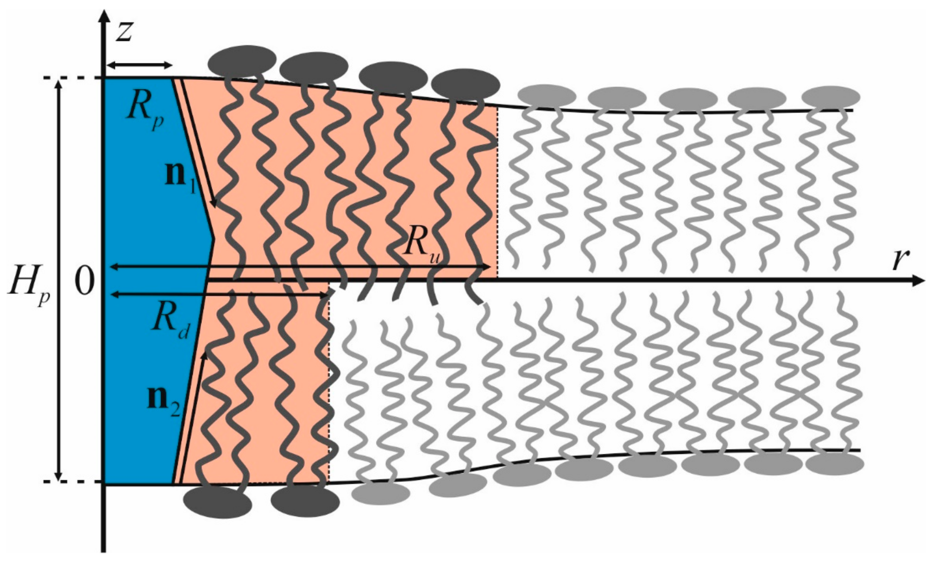 Biomolecules 09 00729 g001