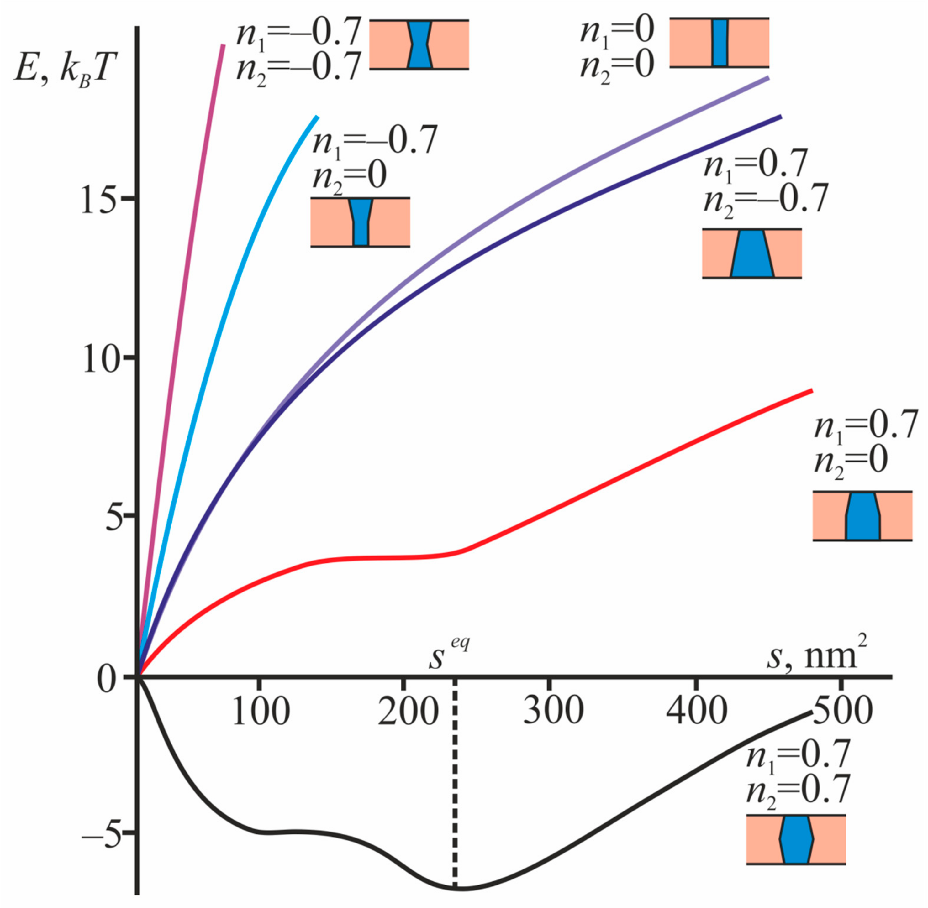 Biomolecules 09 00729 g003