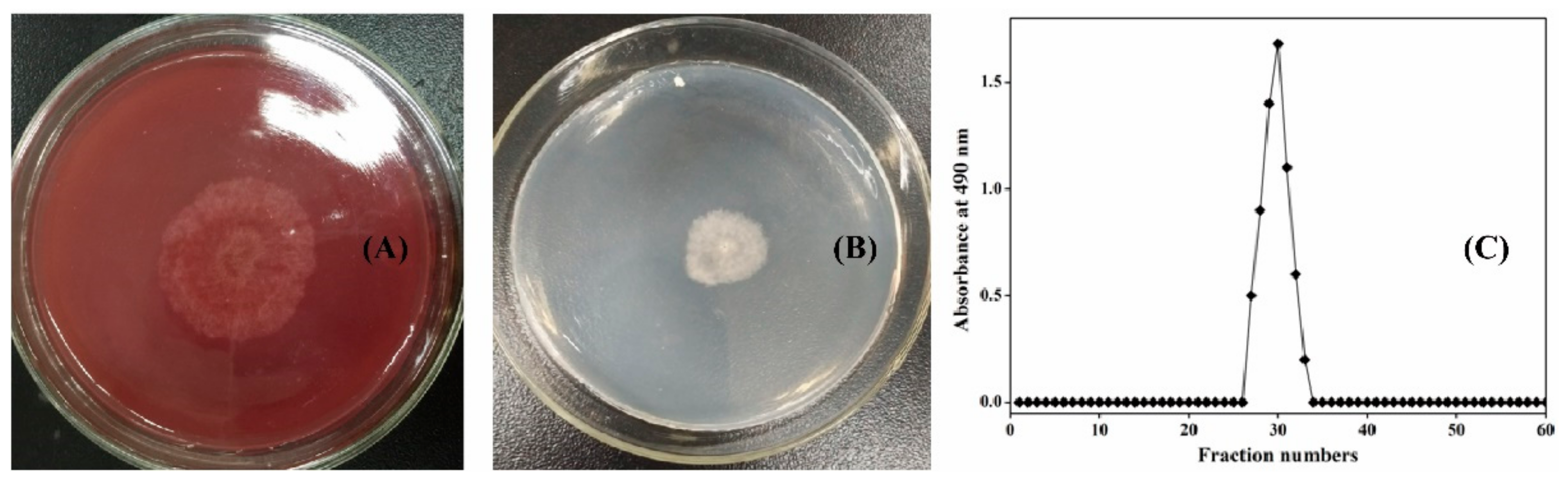 Biomolecules 09 00730 g001 Biomolecules 09 00730 g001
