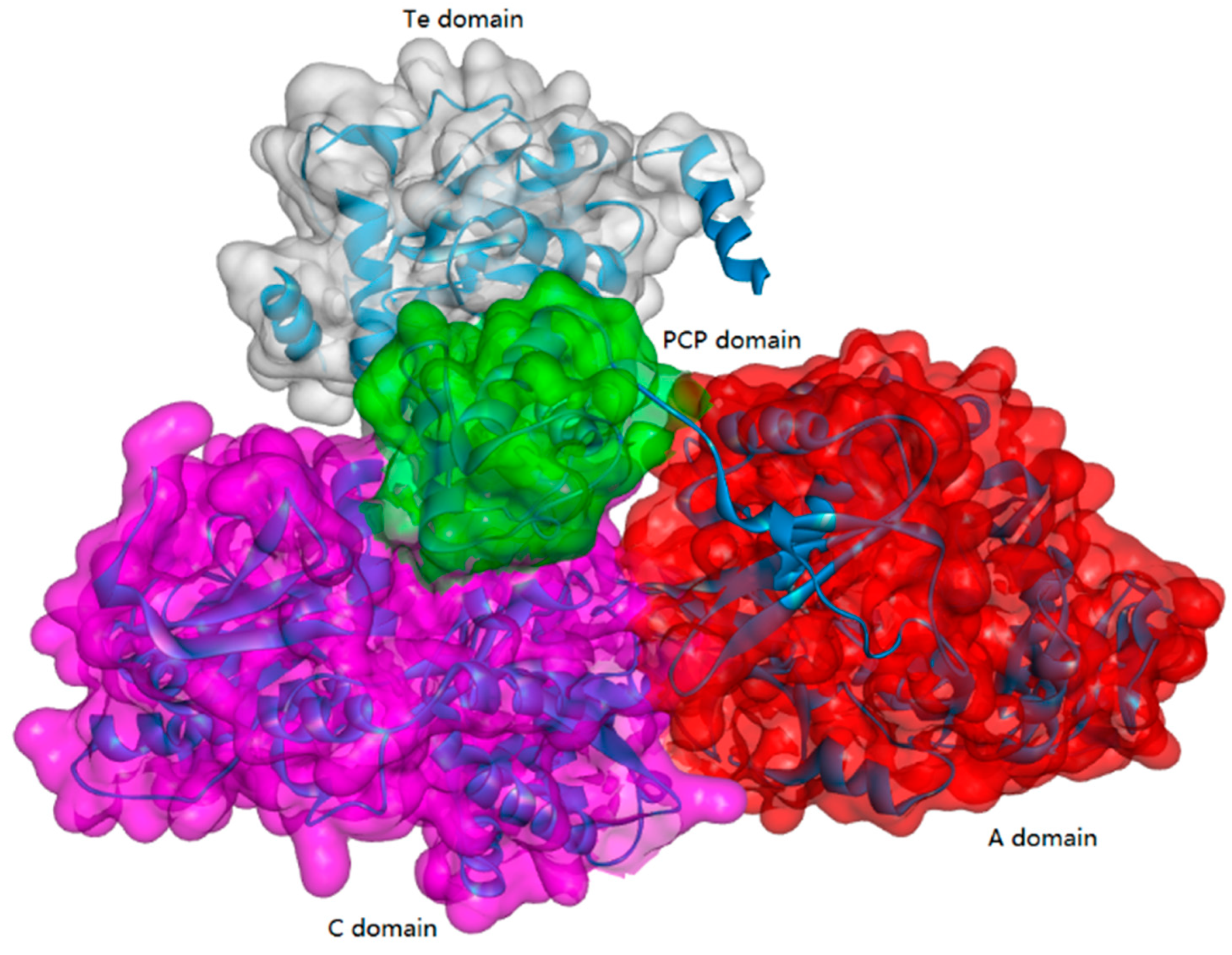 Biomolecules 09 00733 g002 Biomolecules 09 00733 g002