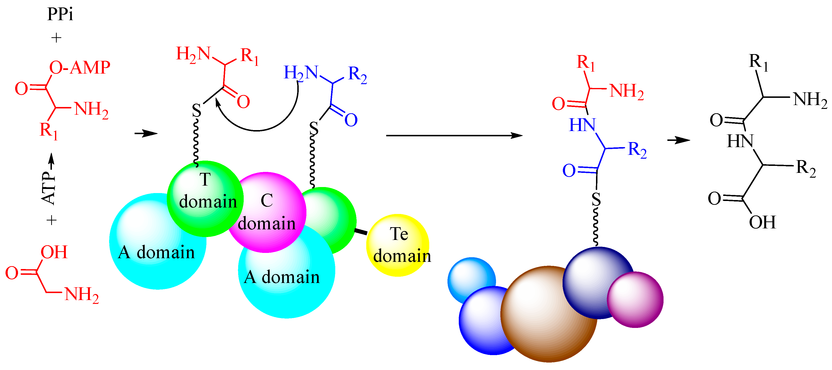 Biomolecules 09 00733 g003 Biomolecules 09 00733 g003