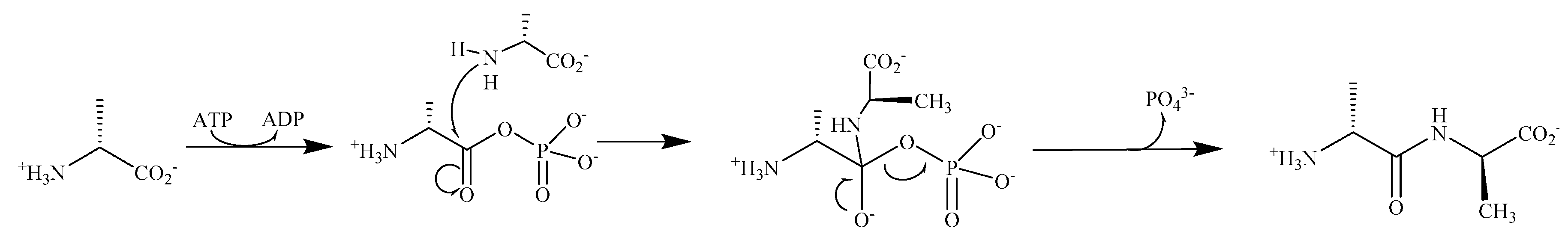 Biomolecules 09 00733 g006 Biomolecules 09 00733 g006