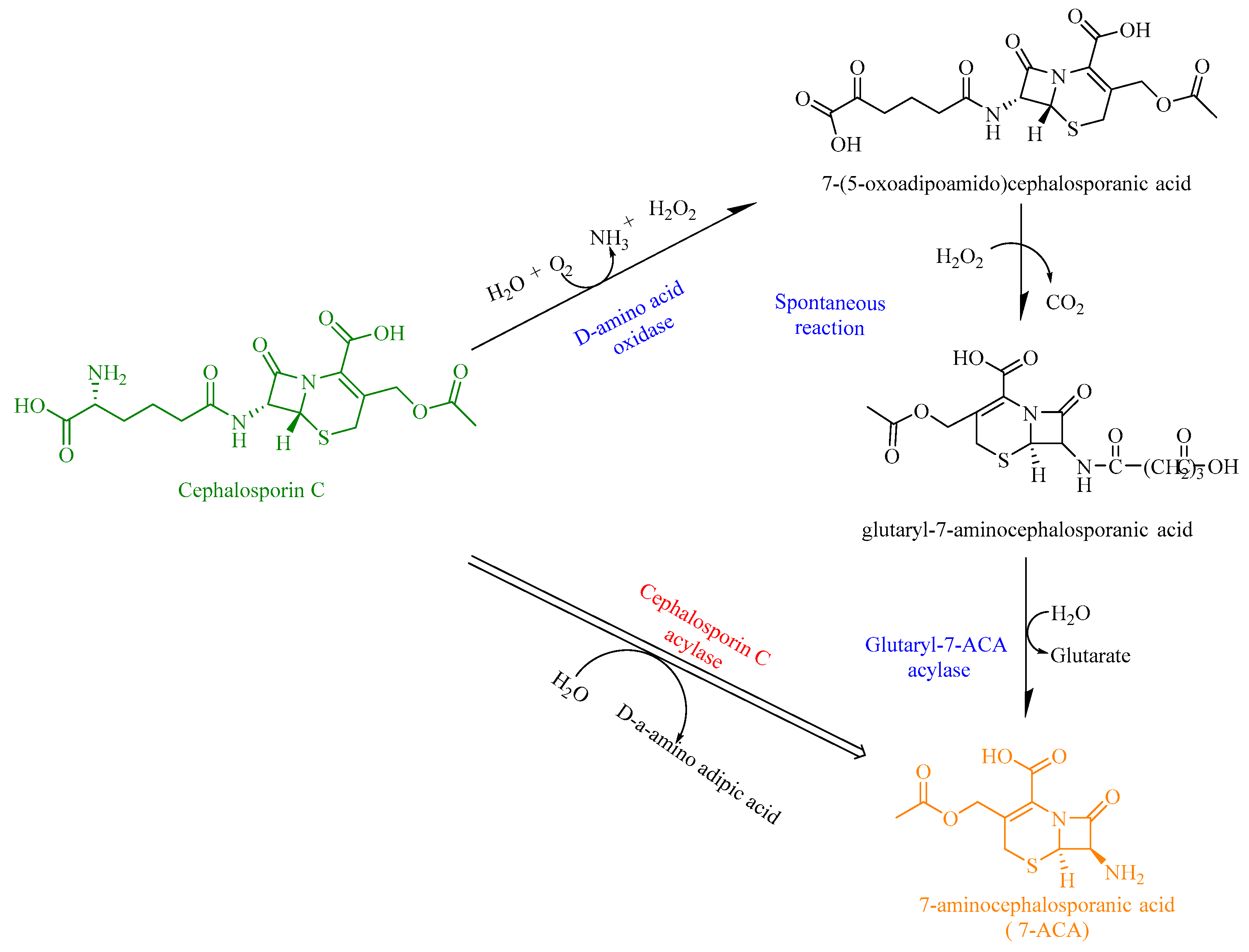 Biomolecules 09 00733 g010 Biomolecules 09 00733 g010