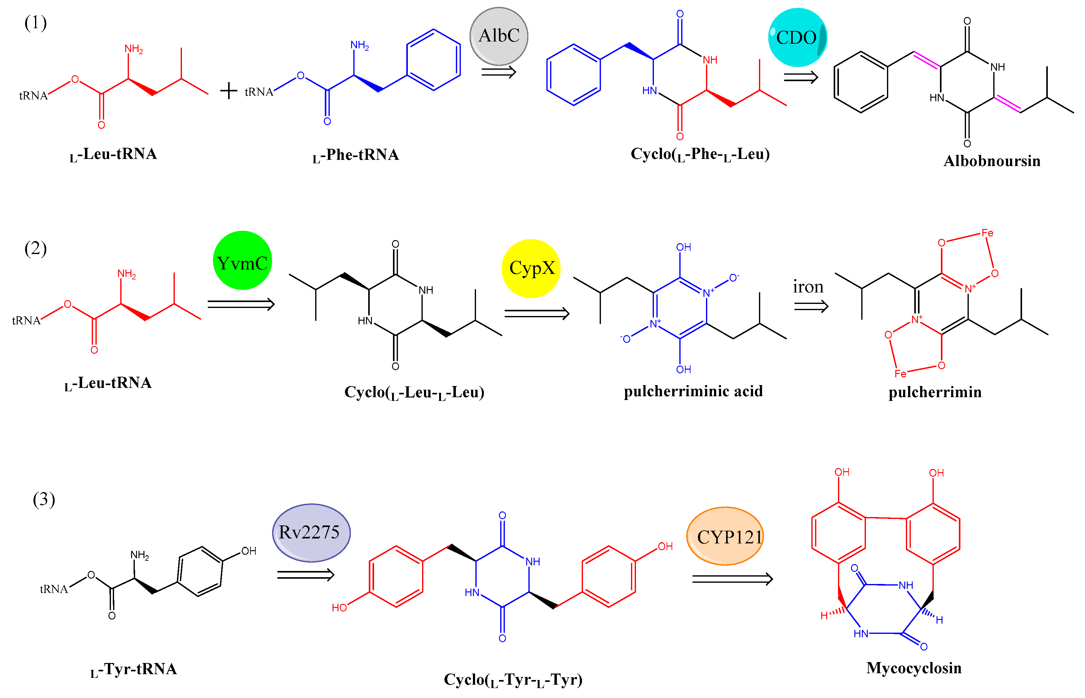 Biomolecules 09 00733 g012 Biomolecules 09 00733 g012