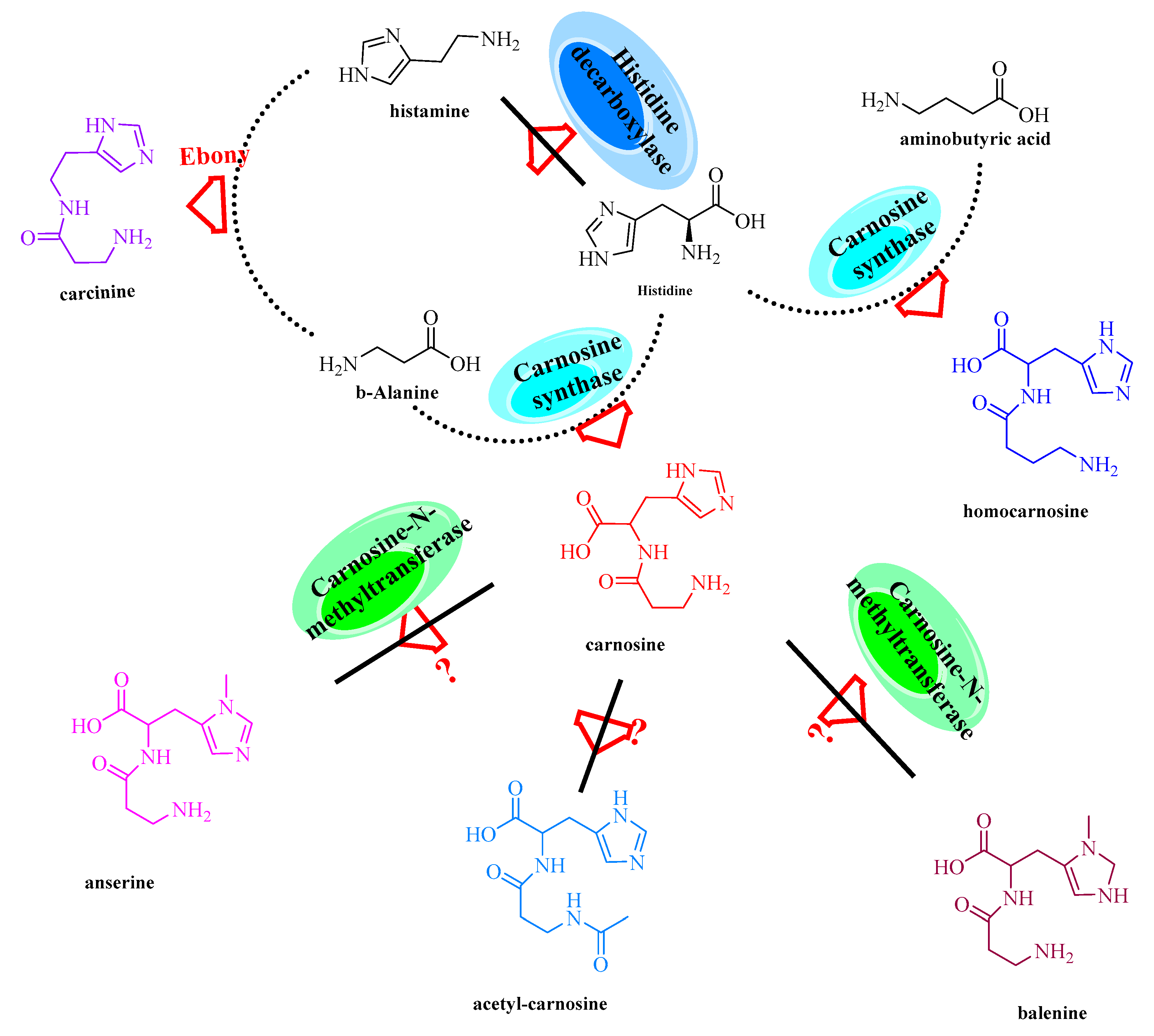 Biomolecules 09 00733 g014 Biomolecules 09 00733 g014