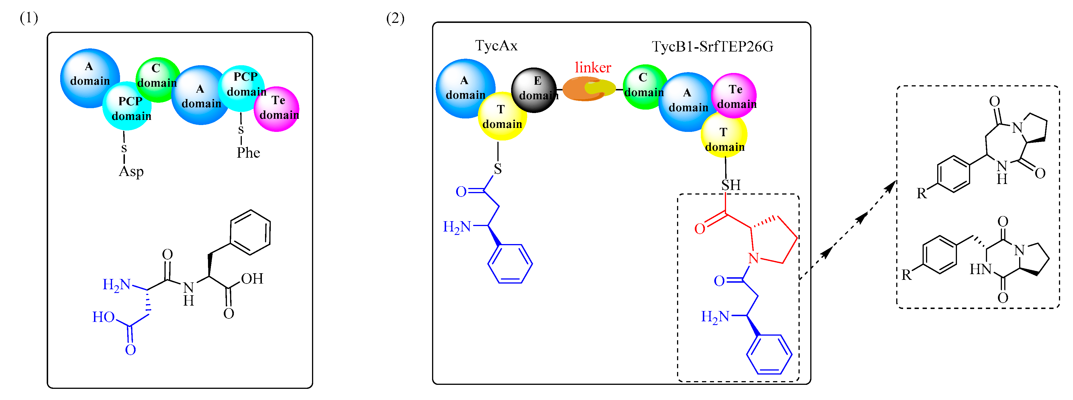 Biomolecules 09 00733 g016 Biomolecules 09 00733 g016