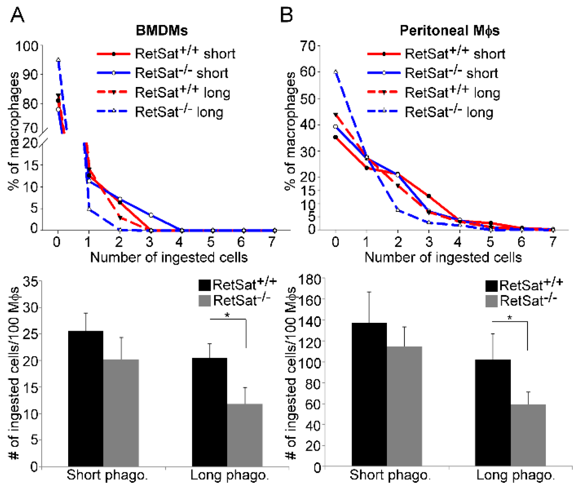Biomolecules 09 00737 g002 Biomolecules 09 00737 g002