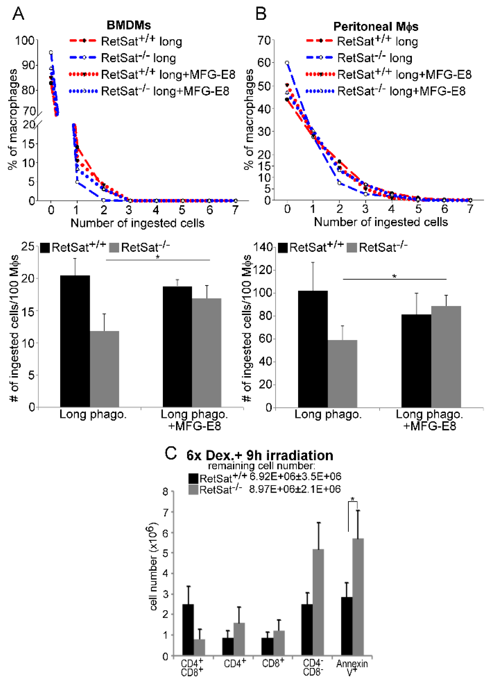 Biomolecules 09 00737 g004 Biomolecules 09 00737 g004