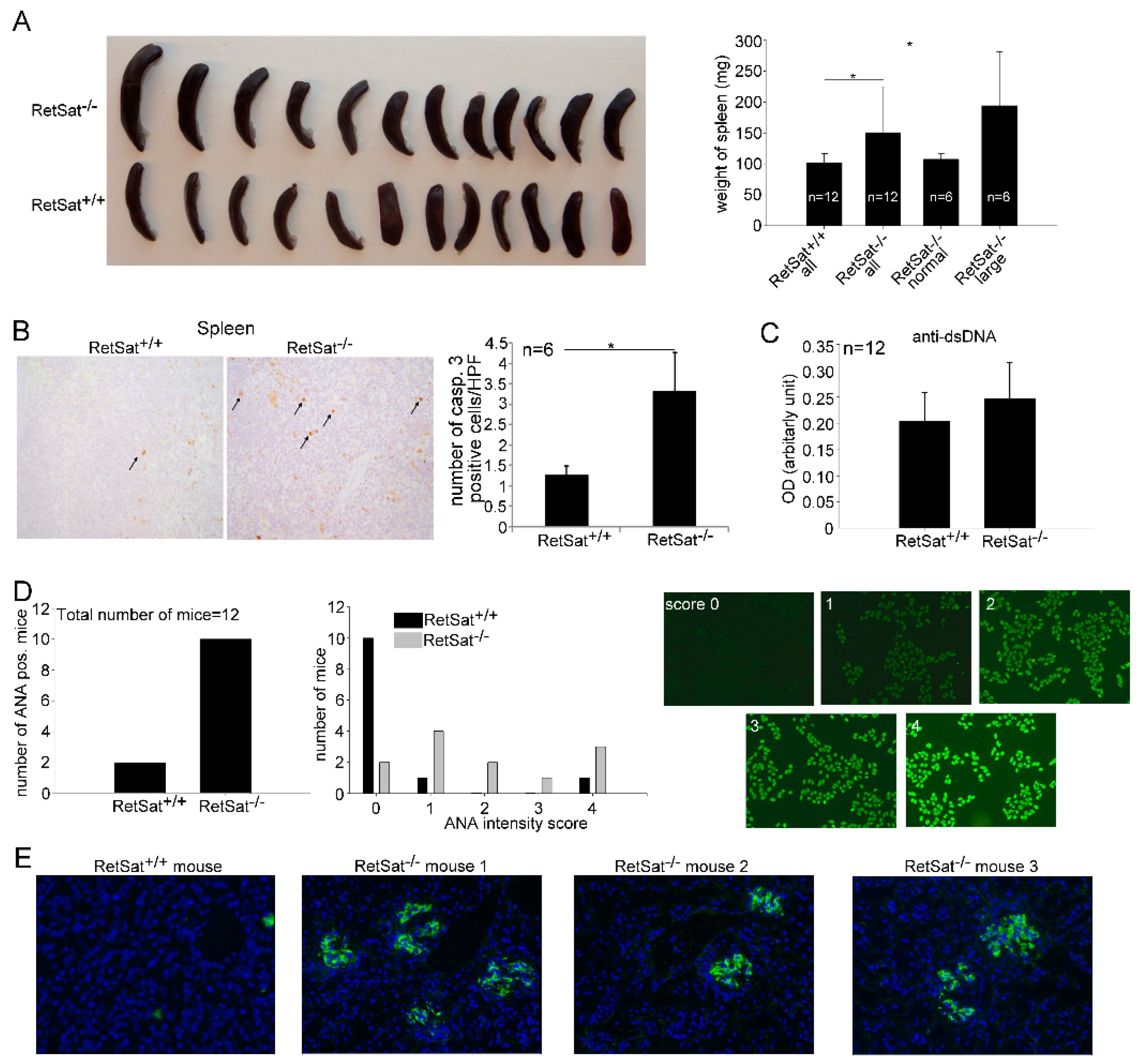 Biomolecules 09 00737 g005 Biomolecules 09 00737 g005