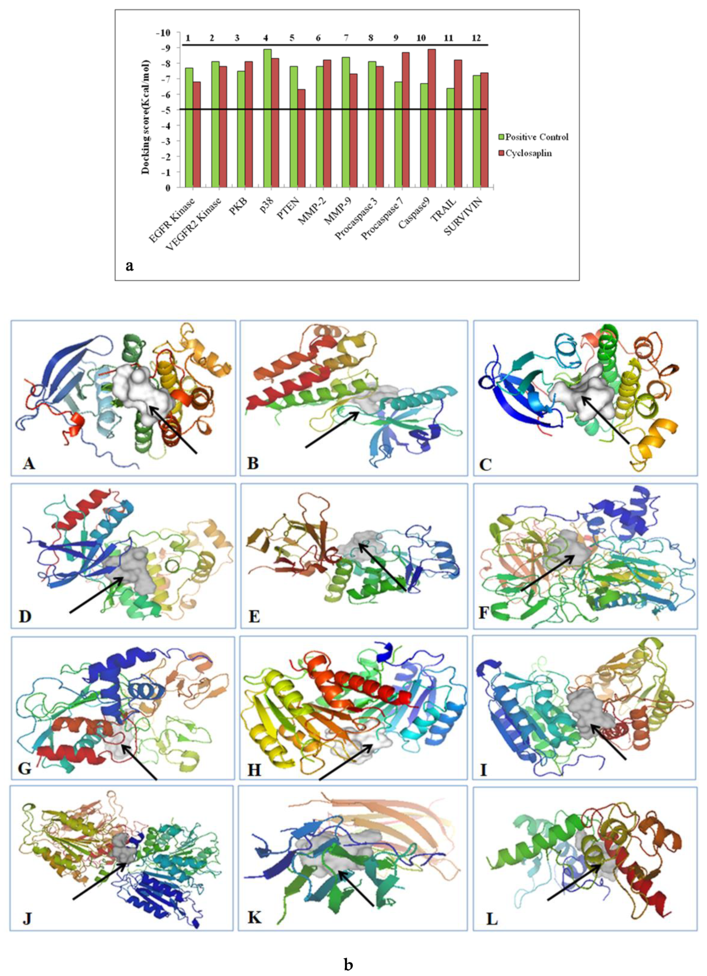 Biomolecules 09 00740 g003