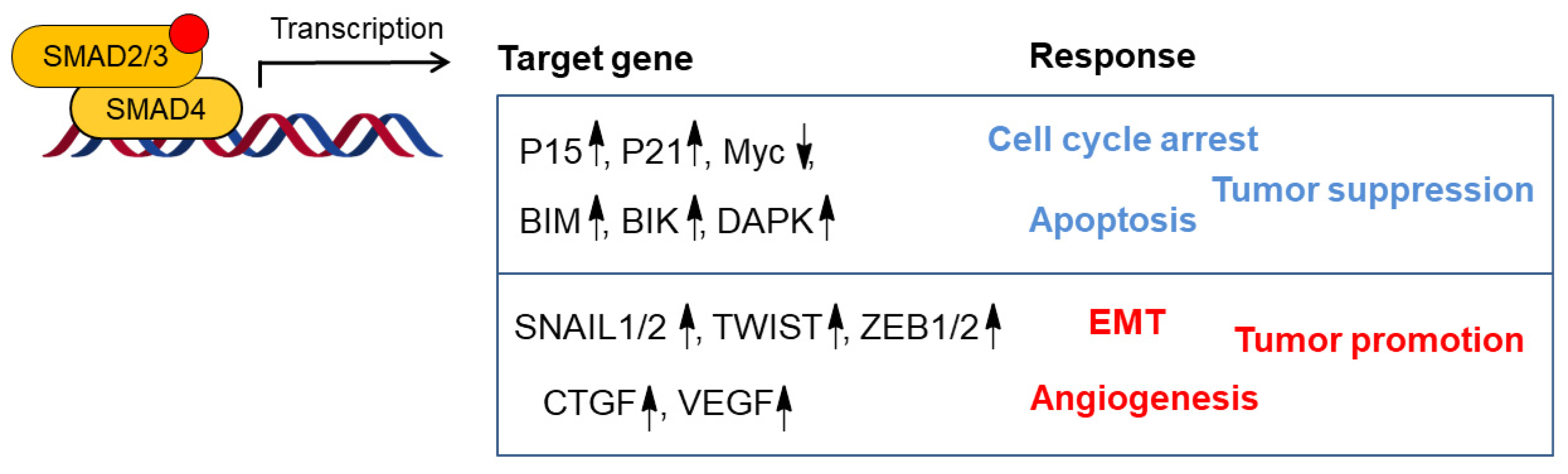 Biomolecules 09 00743 g002