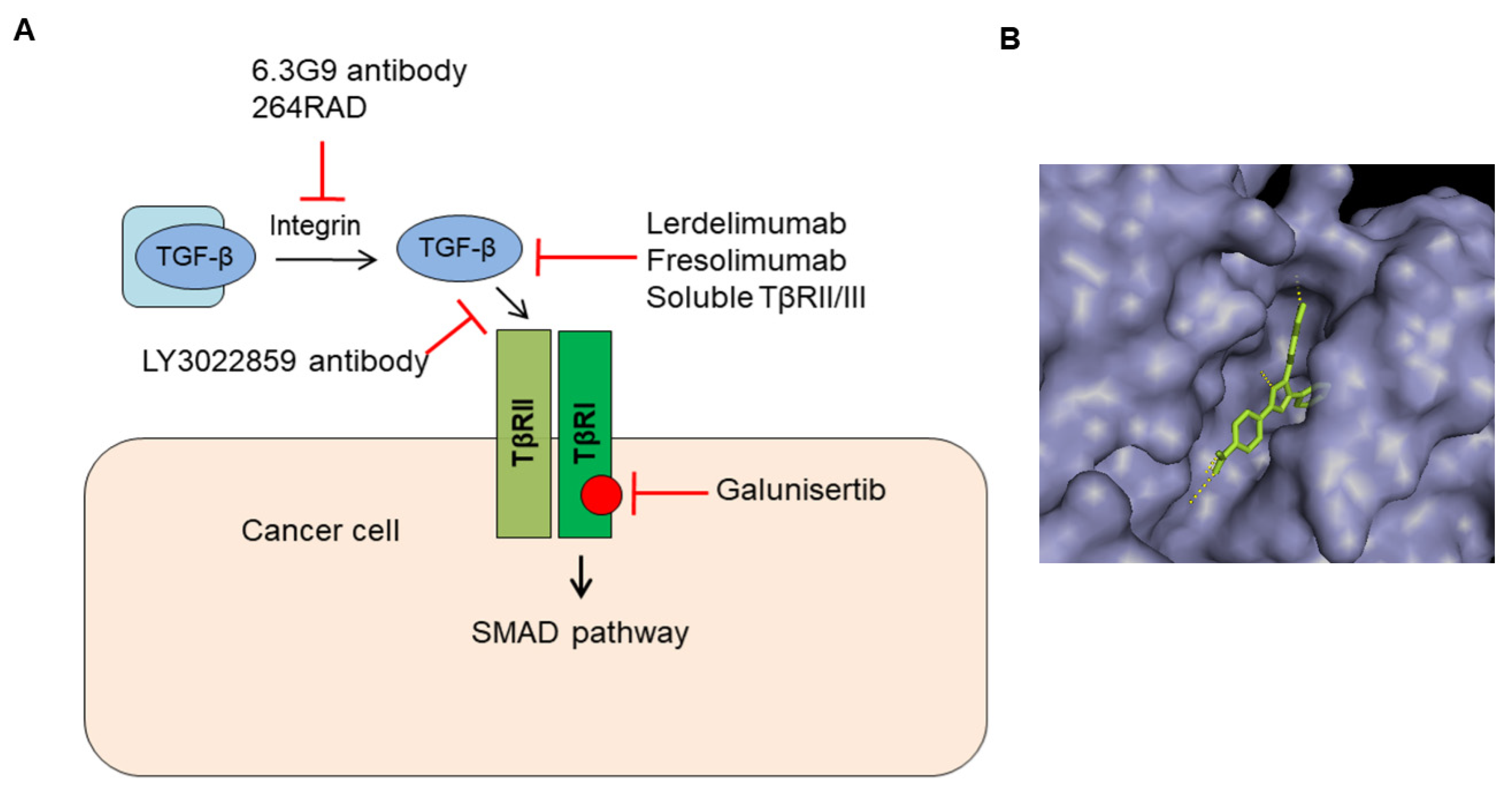 Biomolecules 09 00743 g005