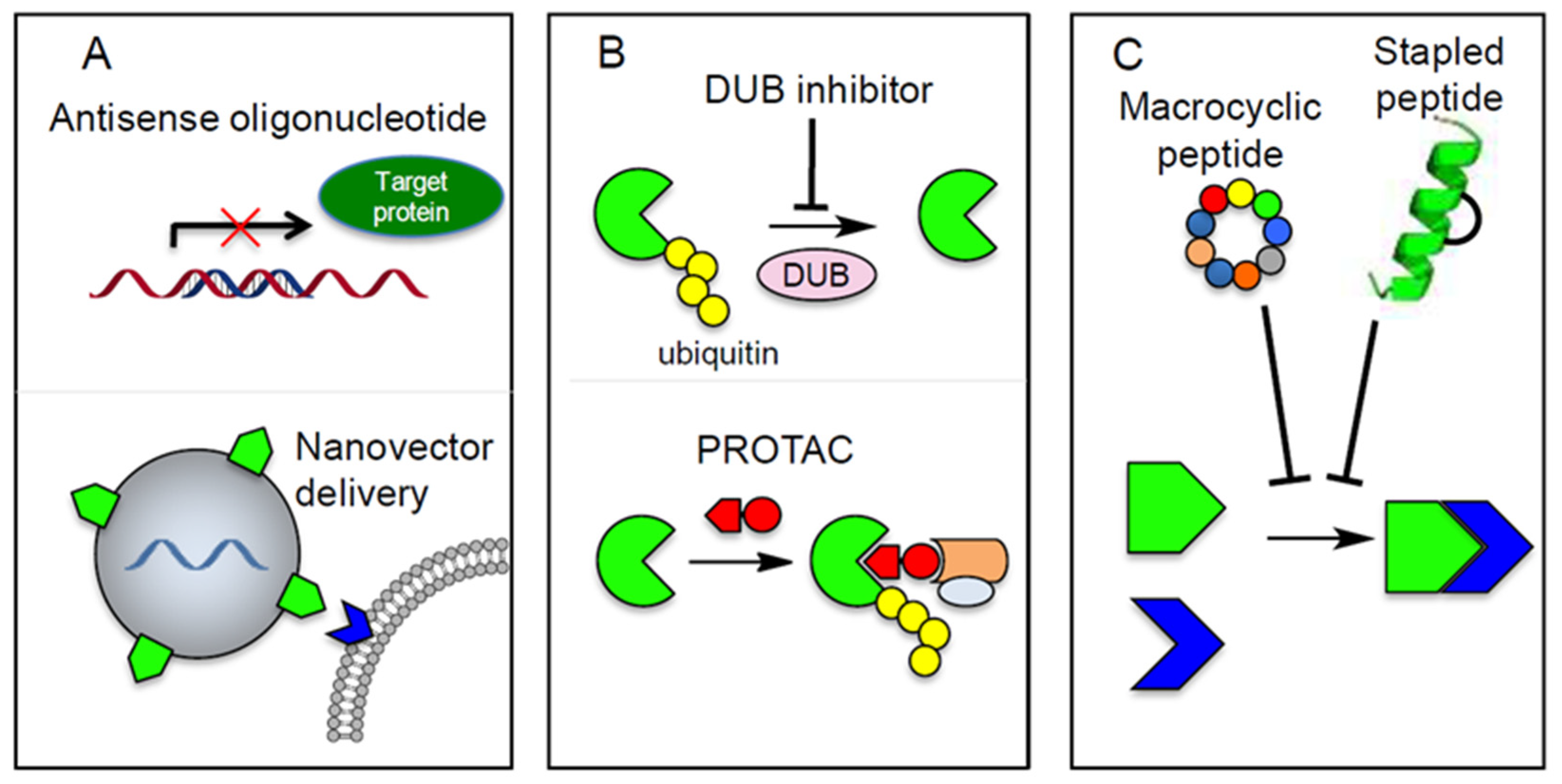 Biomolecules 09 00743 g006