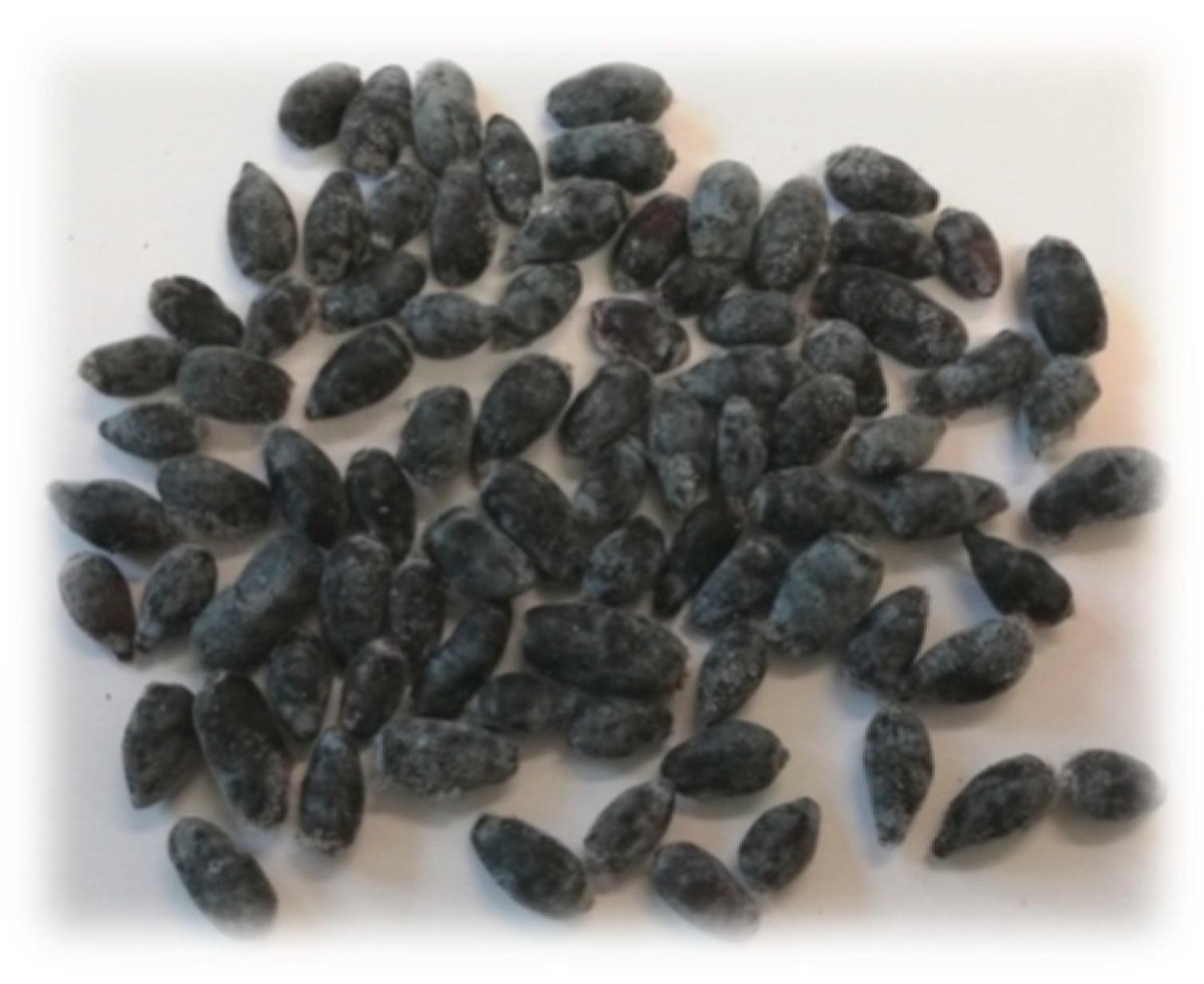 Biomolecules 09 00744 g001