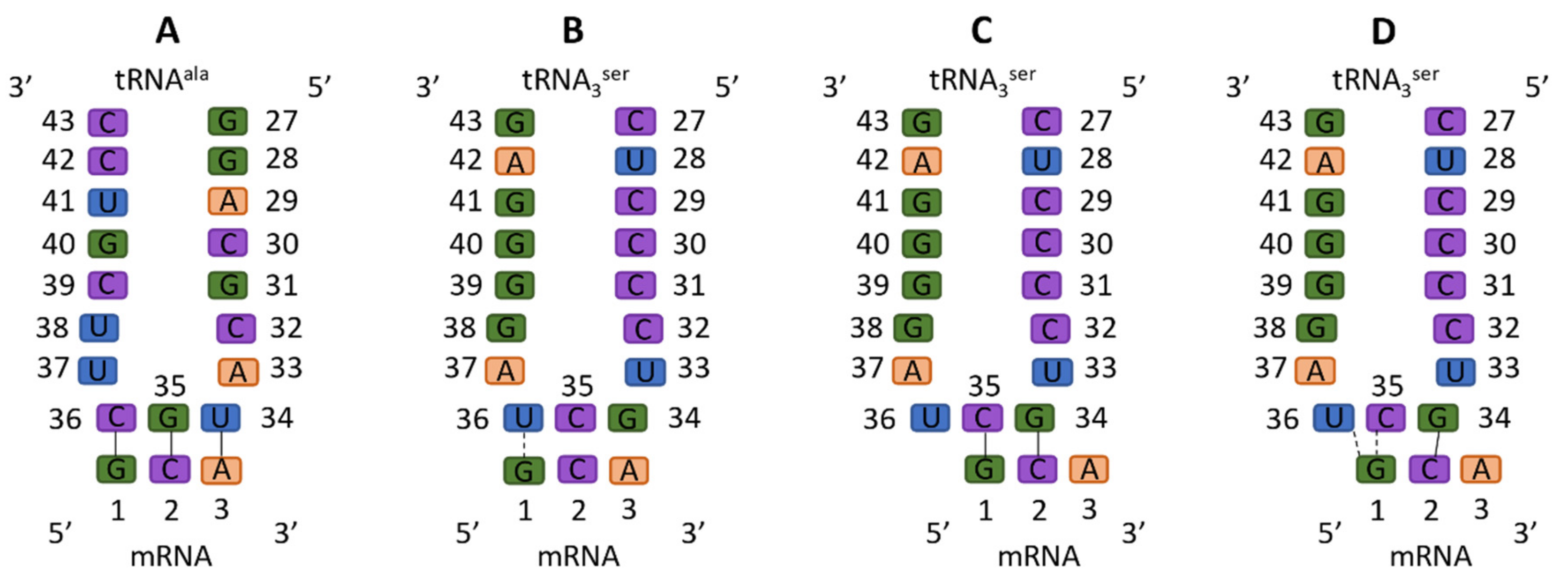Biomolecules 09 00745 g001