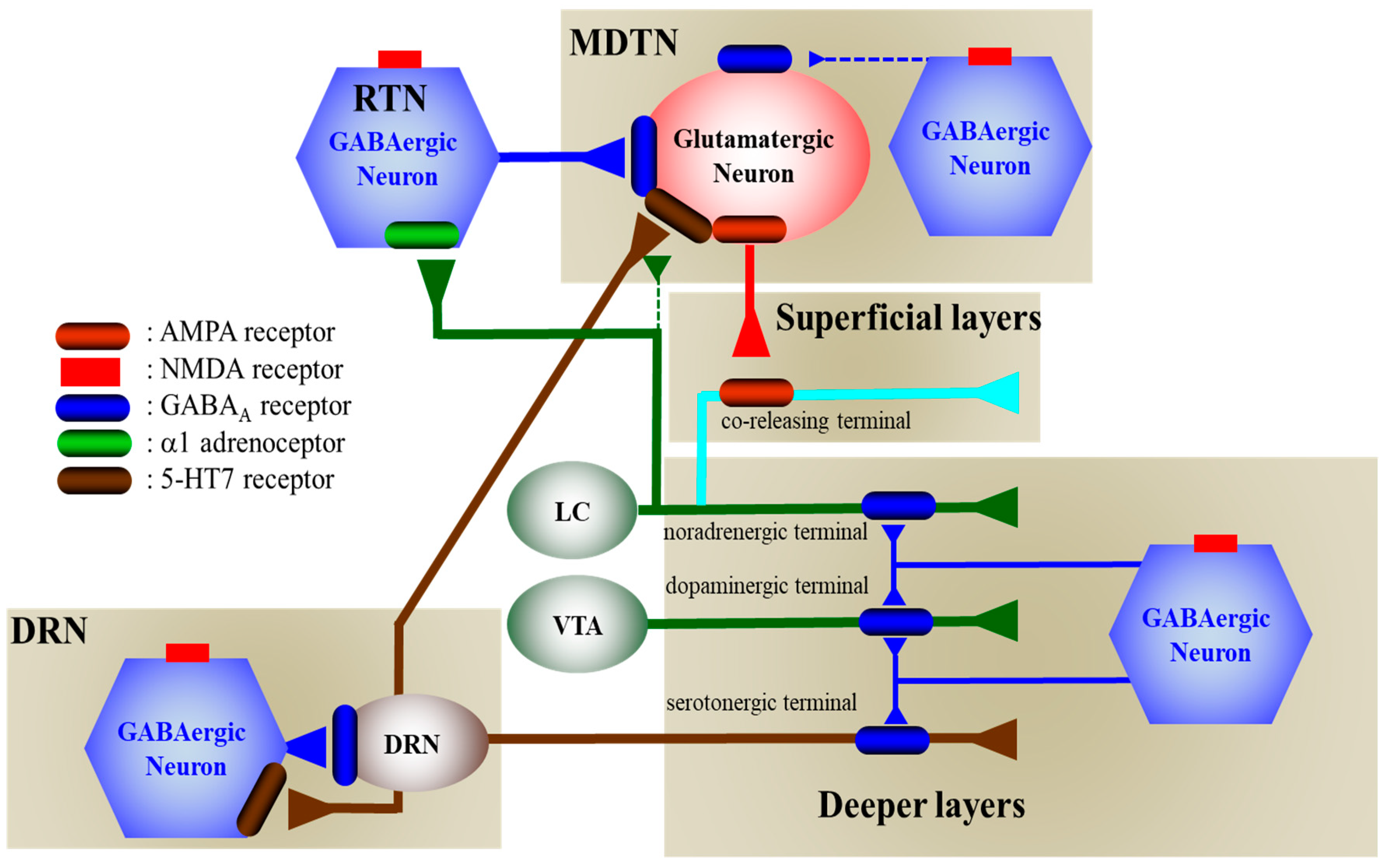 Biomolecules 09 00746 g009
