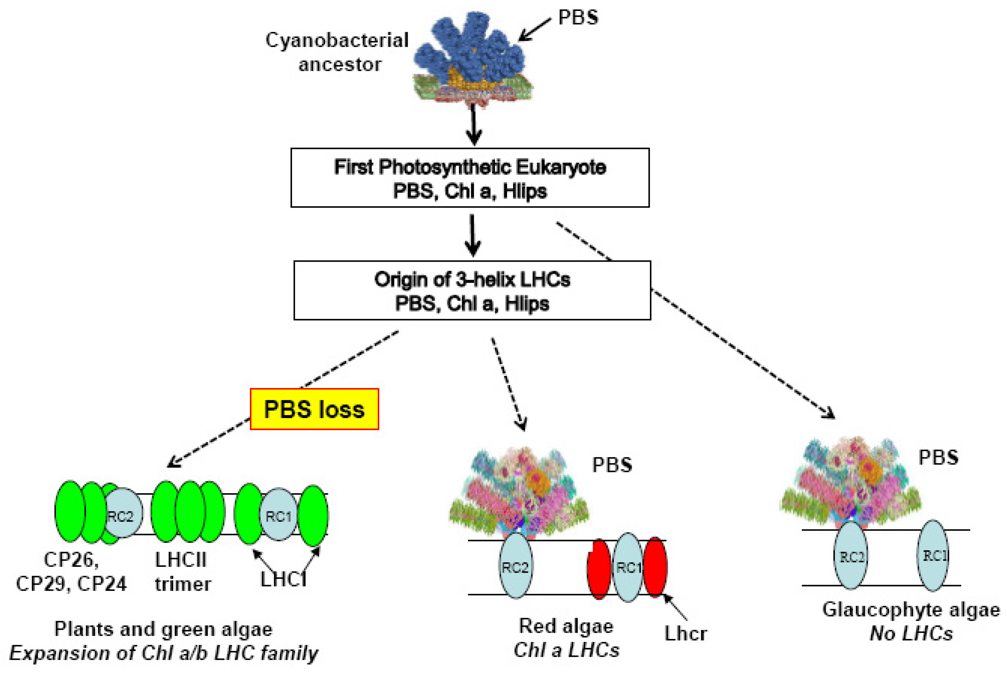 Biomolecules 09 00748 g001